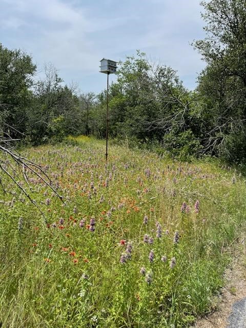 9349 Dickson Road, Fort Worth, TX, 76179