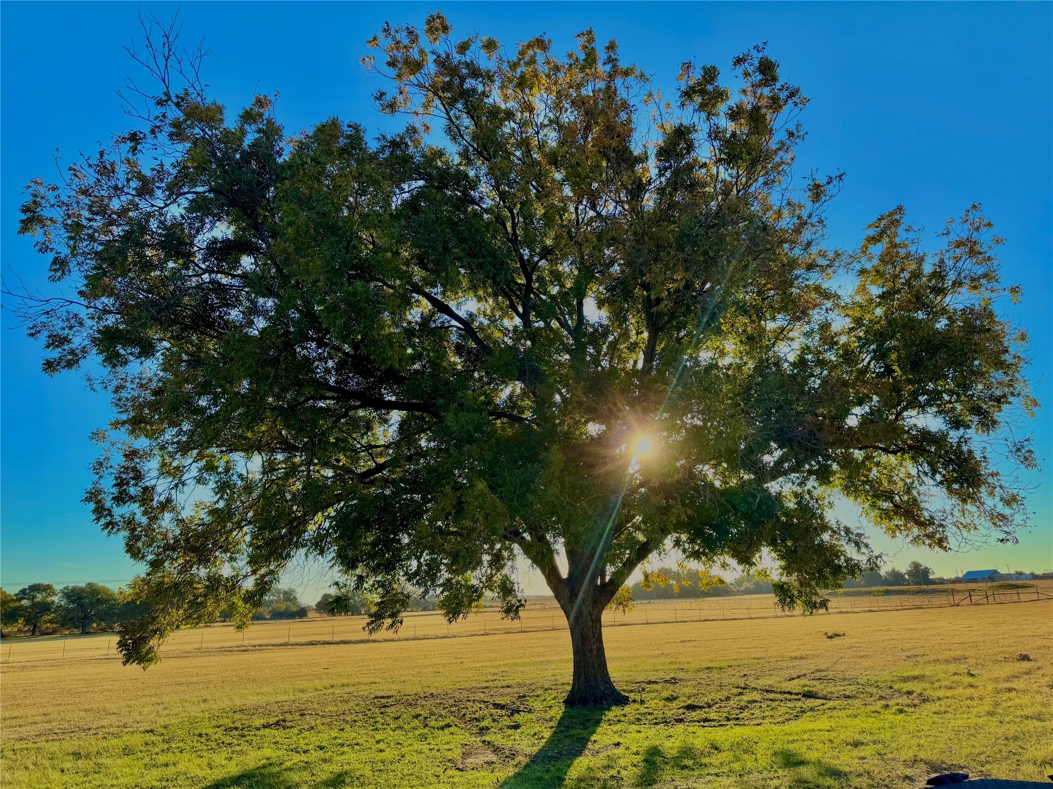 14114 Howard Lake Court, Lipan, TX, 76462