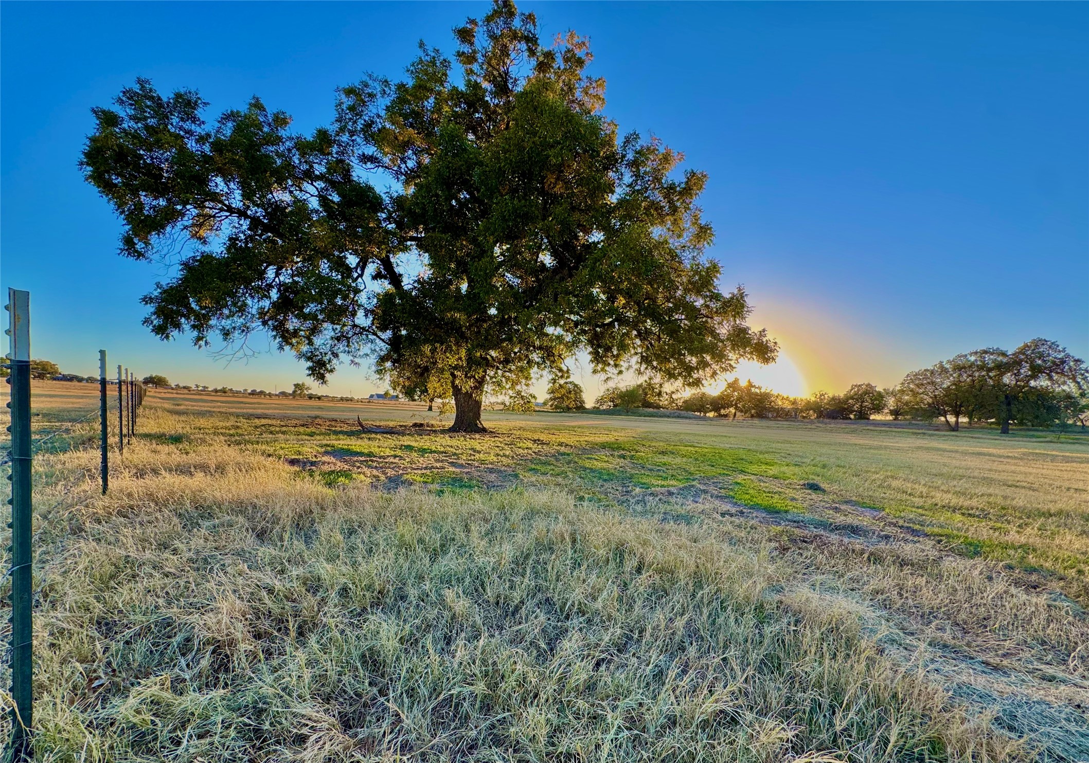 14114 Howard Lake Court, Lipan, TX, 76462