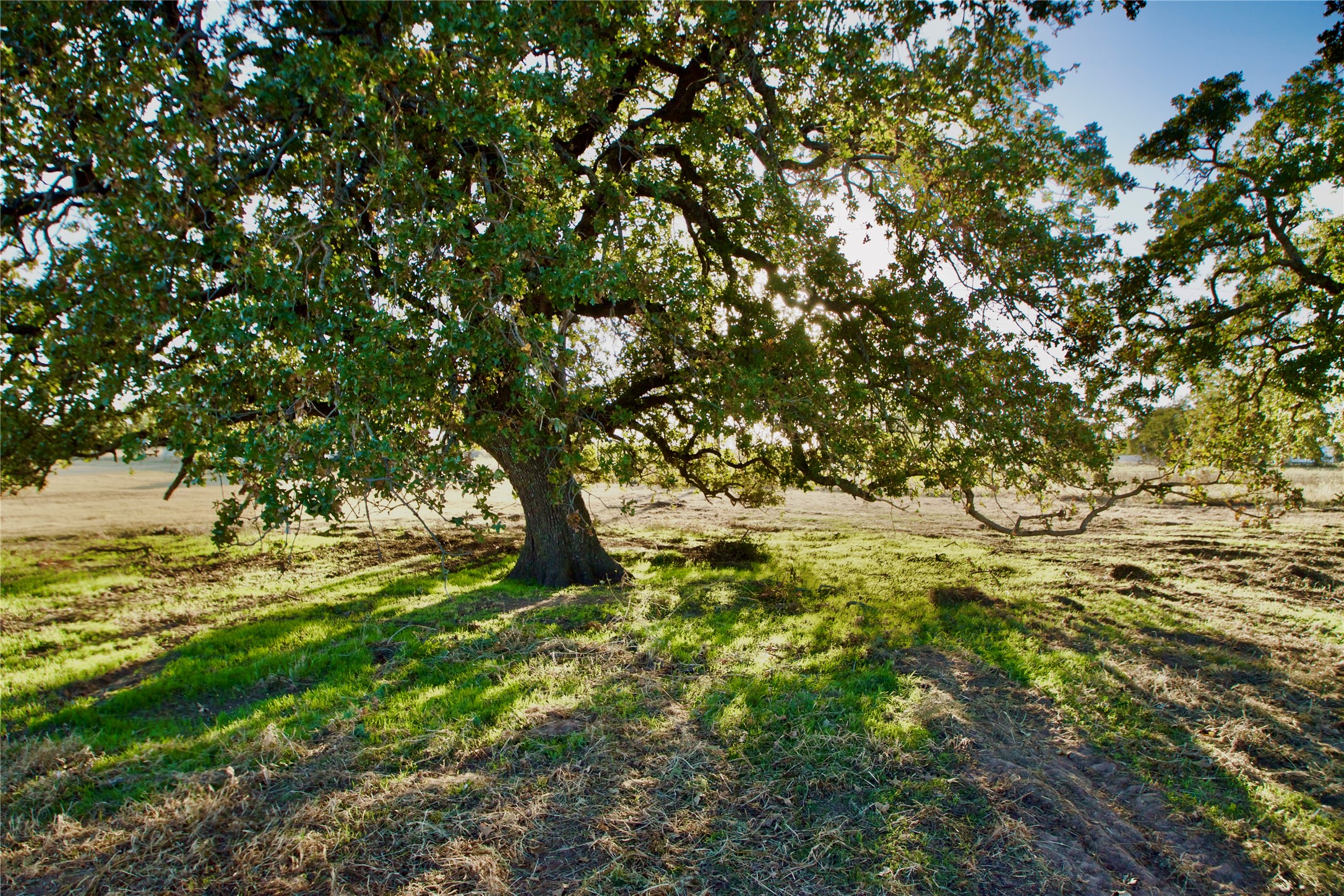 14114 Howard Lake Court, Lipan, TX, 76462