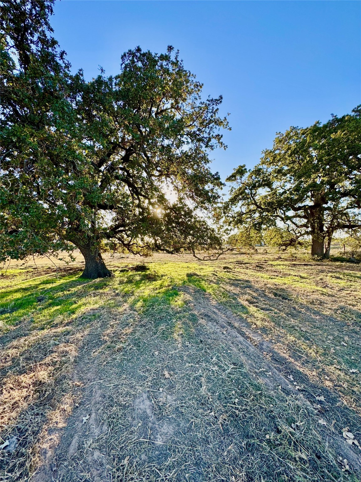 14114 Howard Lake Court, Lipan, TX, 76462