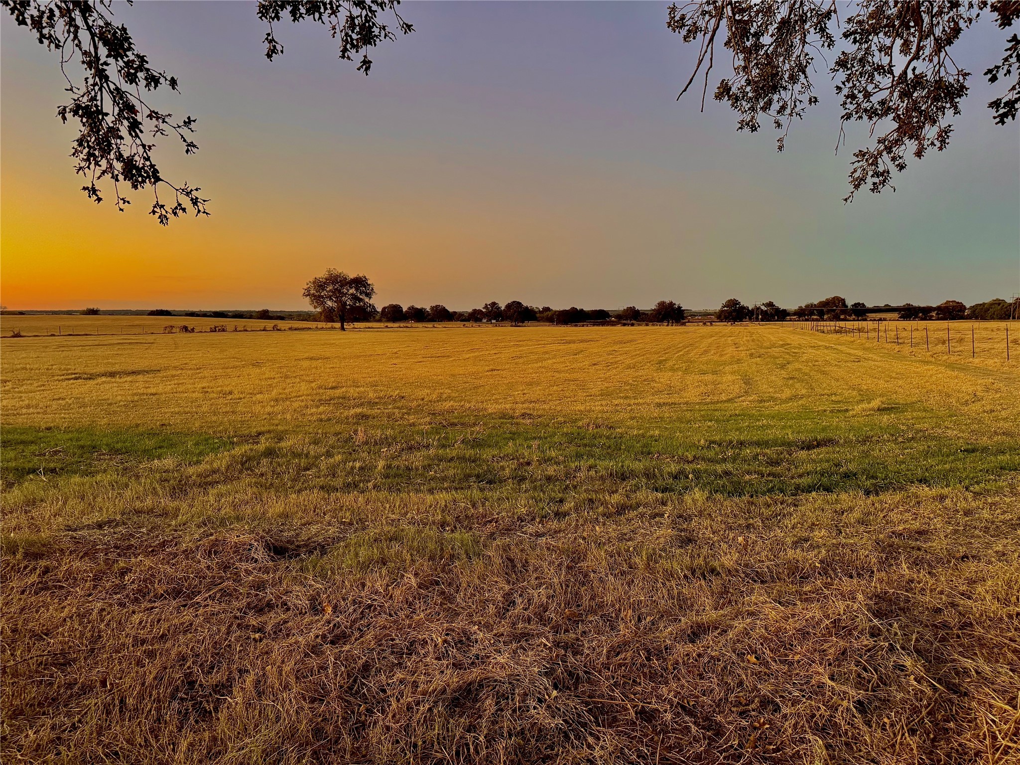 14114 Howard Lake Court, Lipan, TX, 76462