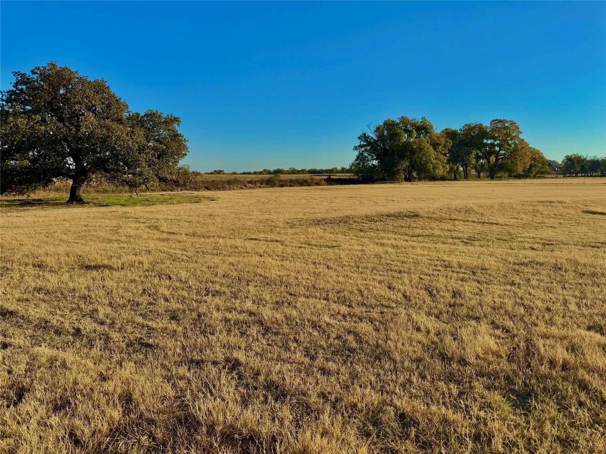14114 Howard Lake Court, Lipan, TX, 76462