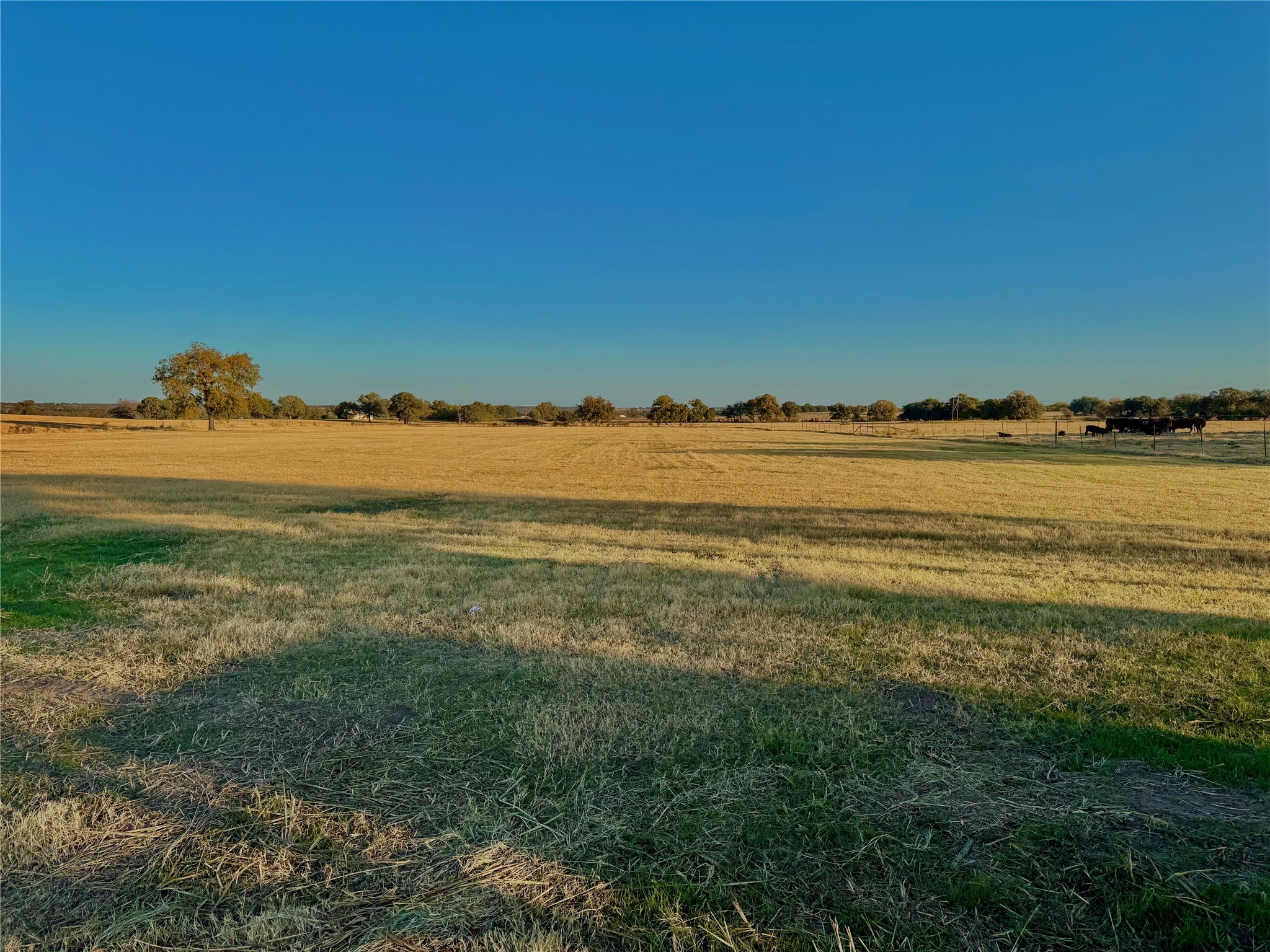 14114 Howard Lake Court, Lipan, TX, 76462