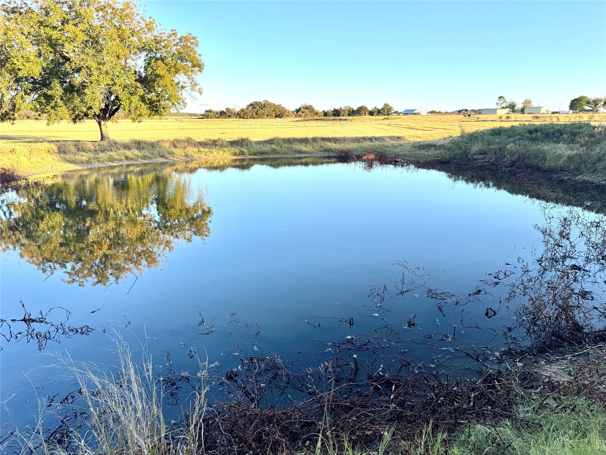 14114 Howard Lake Court, Lipan, TX, 76462