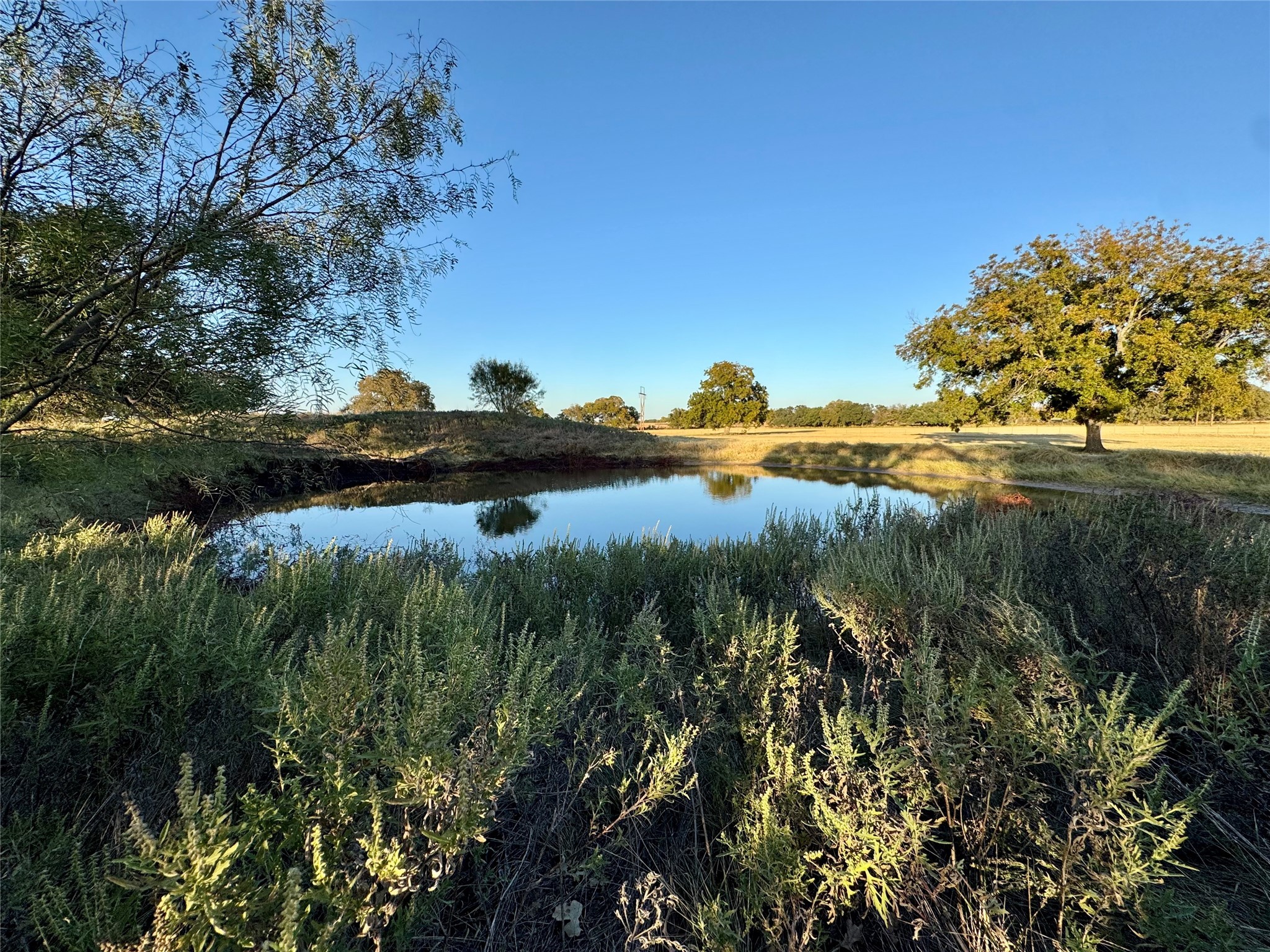 14114 Howard Lake Court, Lipan, TX, 76462