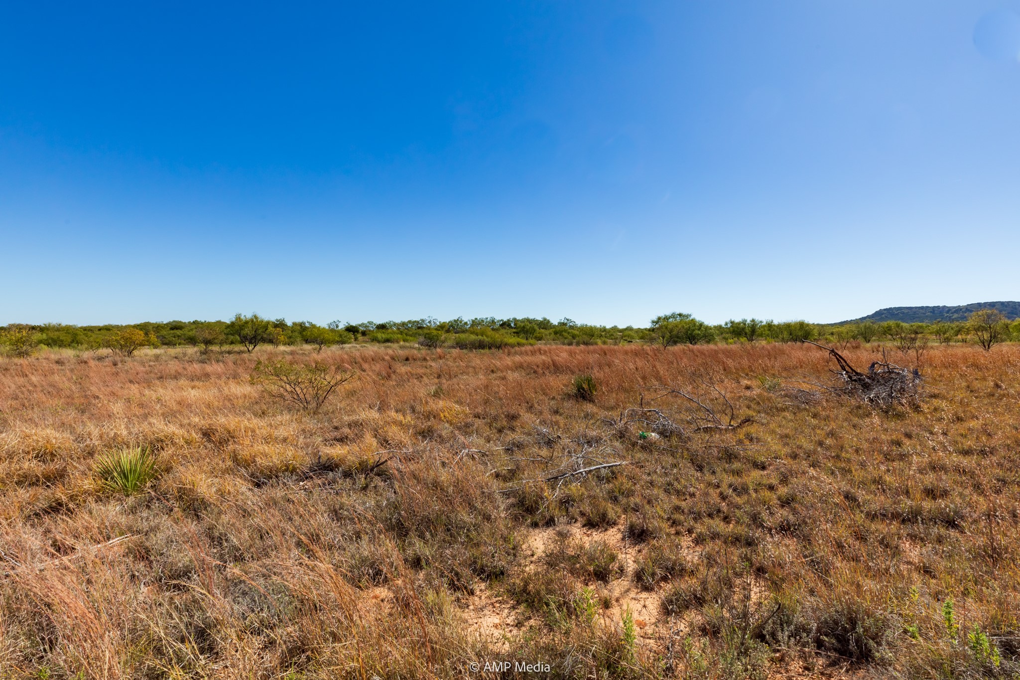 TBD US Hwy 83 N, Ovalo, TX, 79541