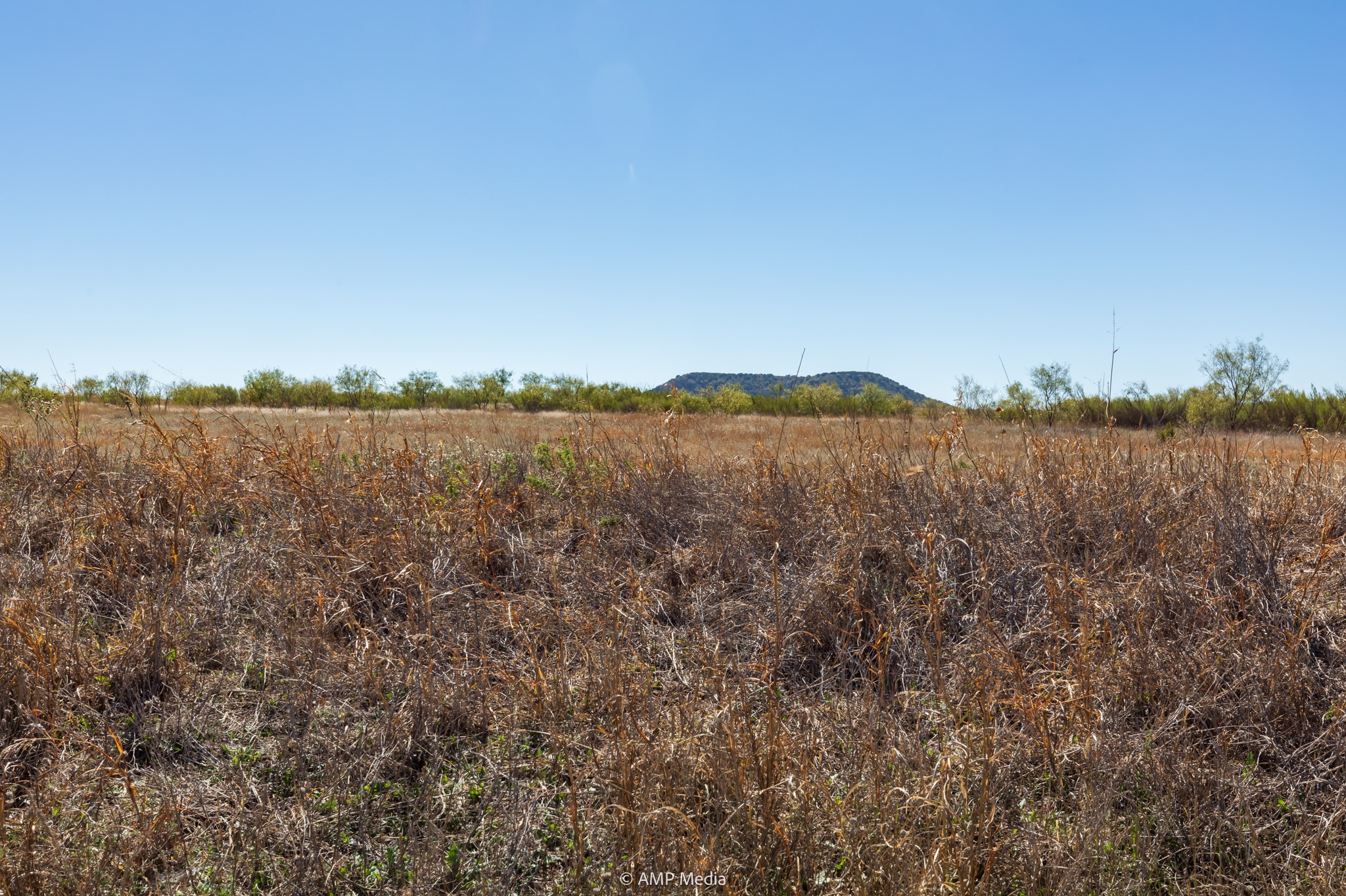TBD US Hwy 83 N, Ovalo, TX, 79541