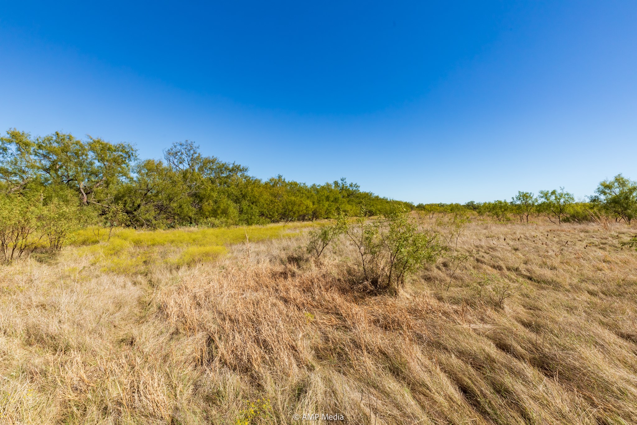 TBD US Hwy 83 N, Ovalo, TX, 79541