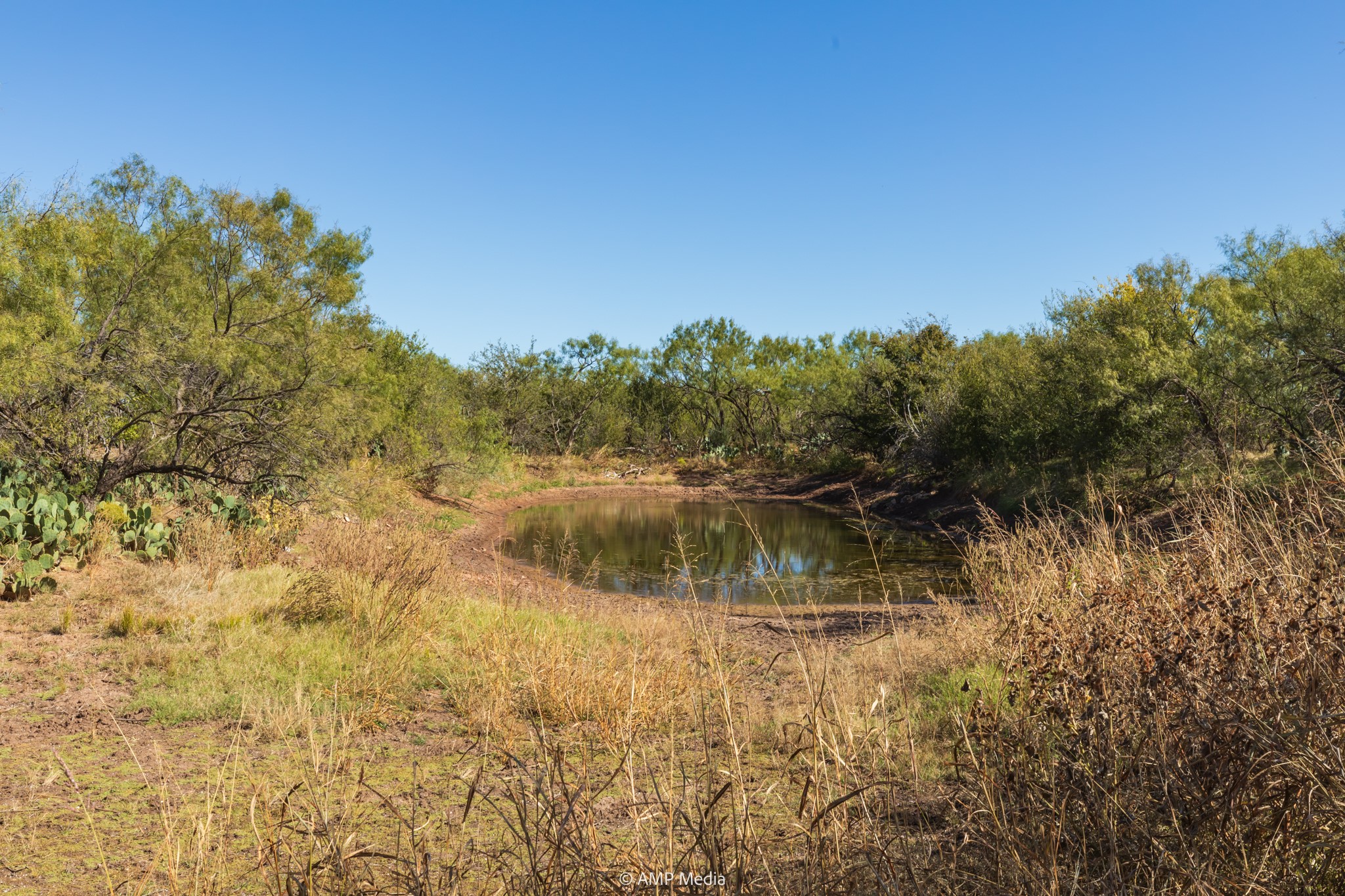 TBD US Hwy 83 N, Ovalo, TX, 79541