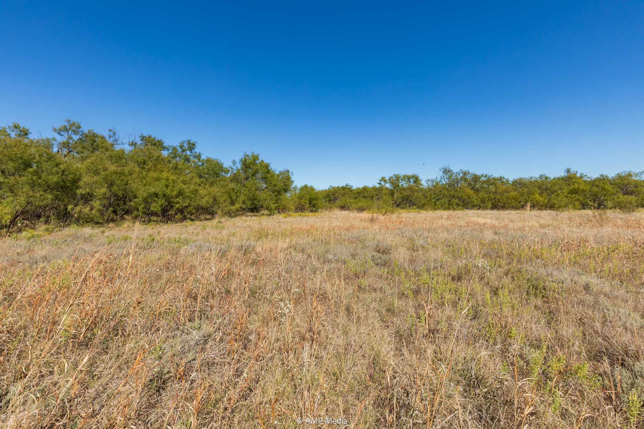 TBD US Hwy 83 N, Ovalo, TX, 79541