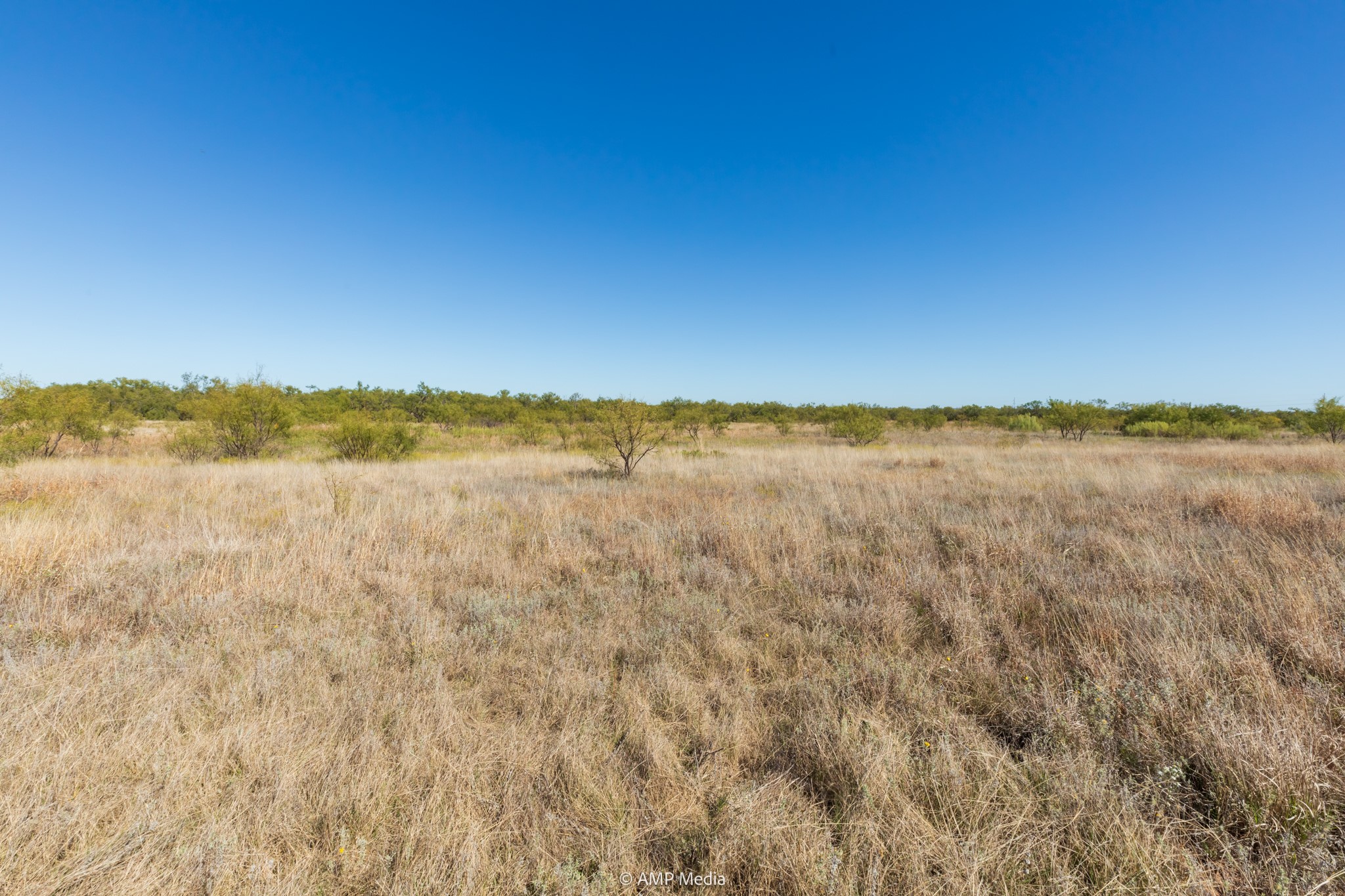 TBD US Hwy 83 N, Ovalo, TX, 79541