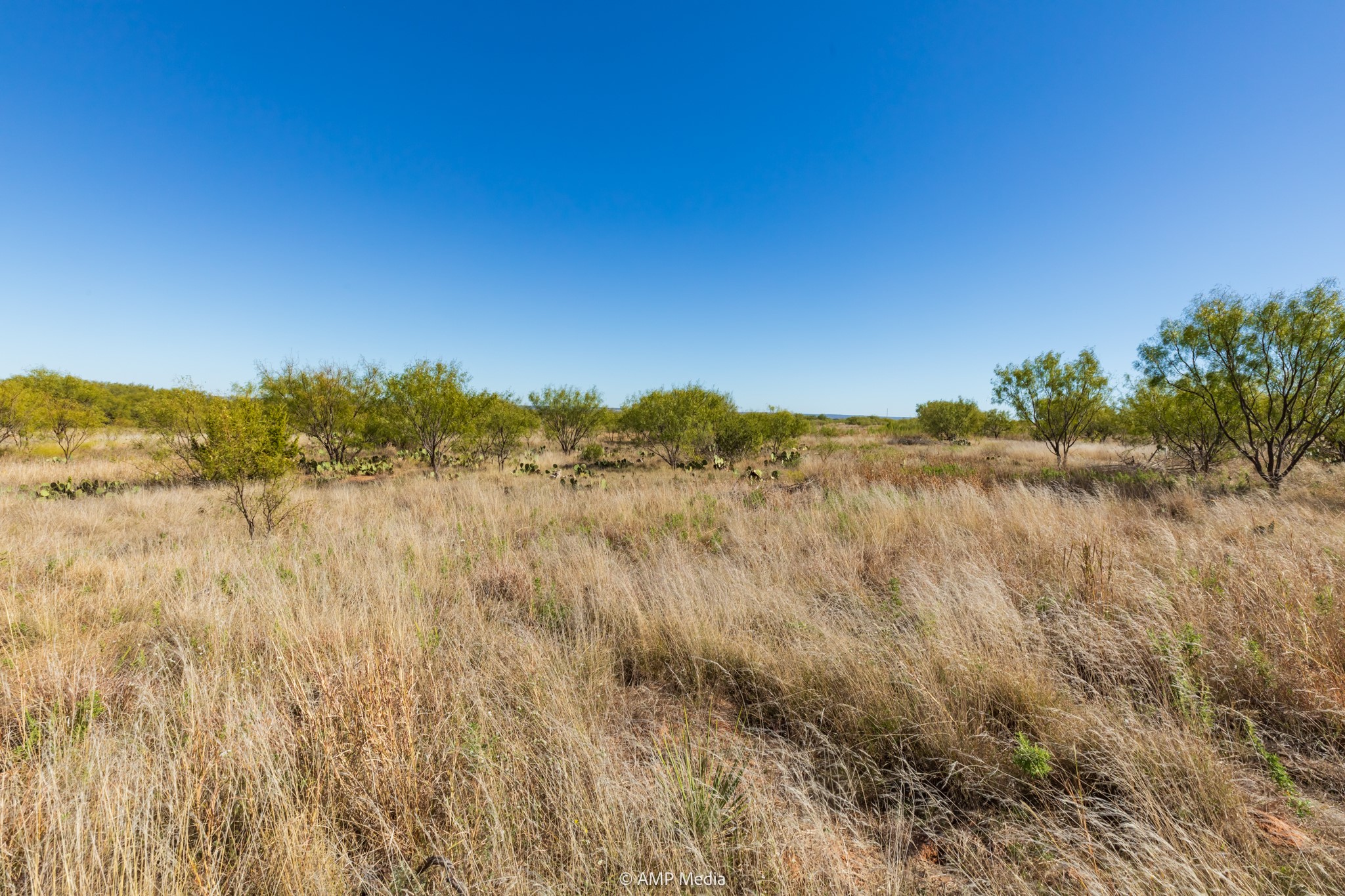 TBD US Hwy 83 N, Ovalo, TX, 79541