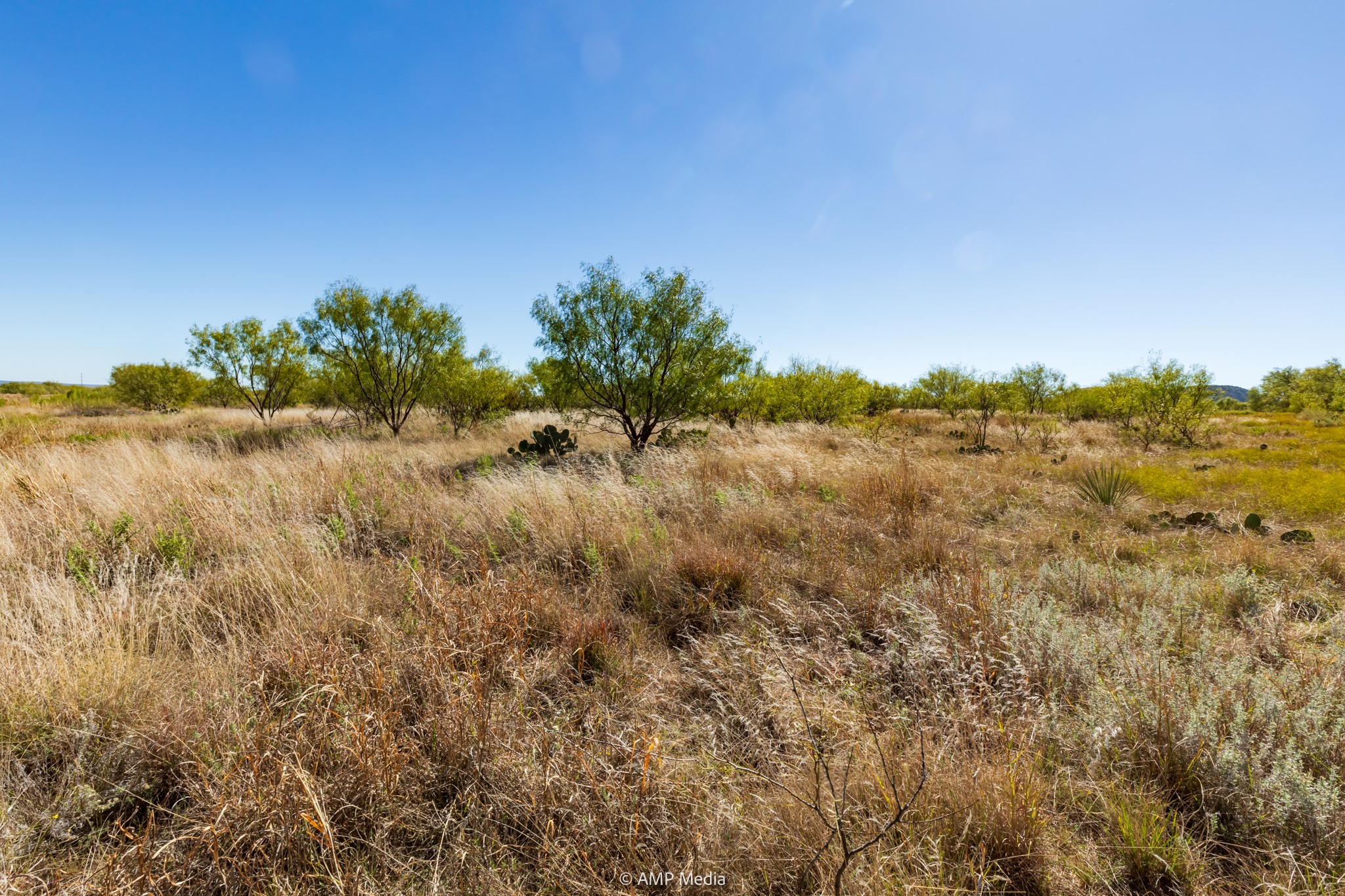 TBD US Hwy 83 N, Ovalo, TX, 79541