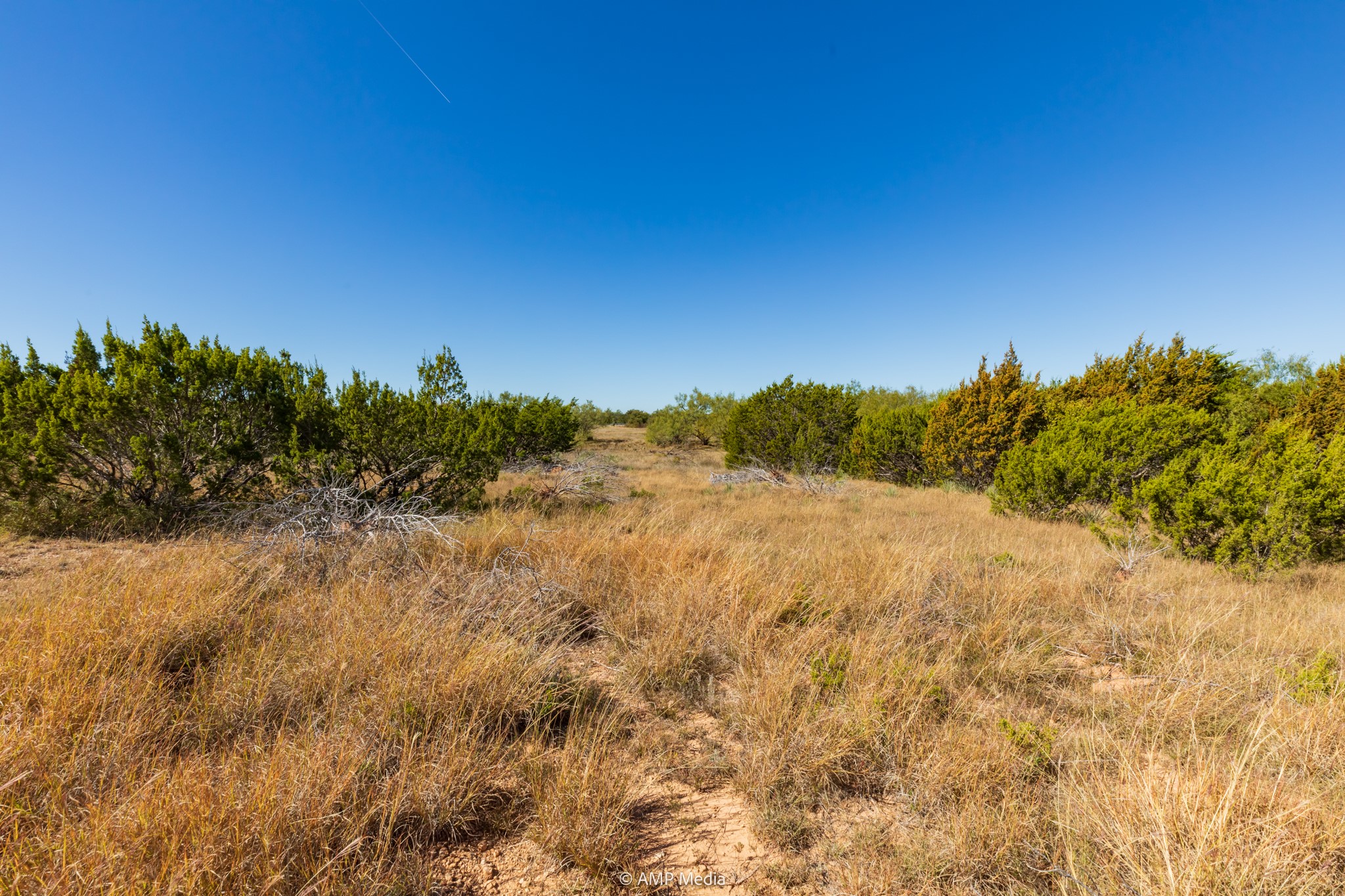 TBD US Hwy 83 N, Ovalo, TX, 79541