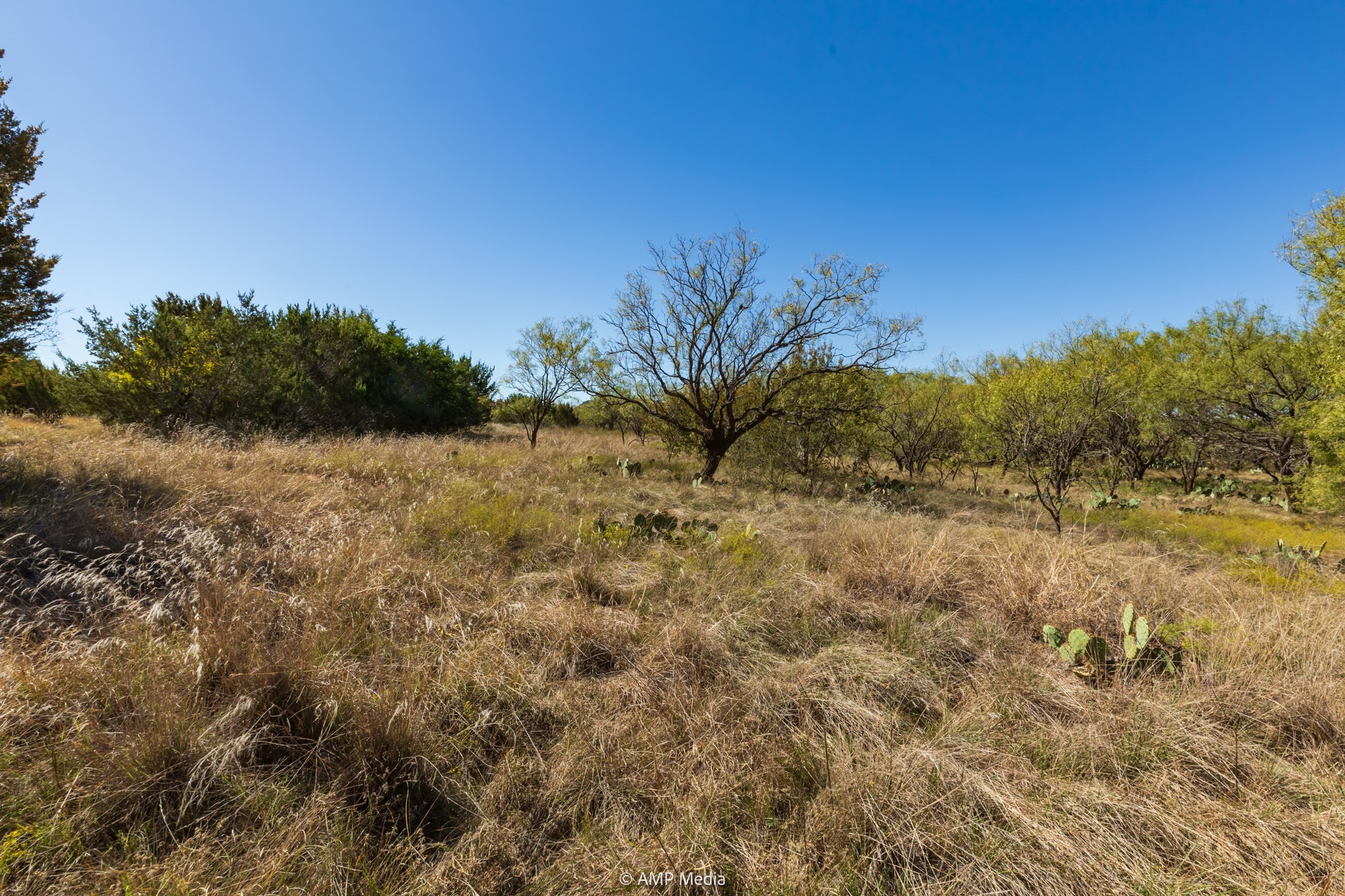 TBD US Hwy 83 N, Ovalo, TX, 79541