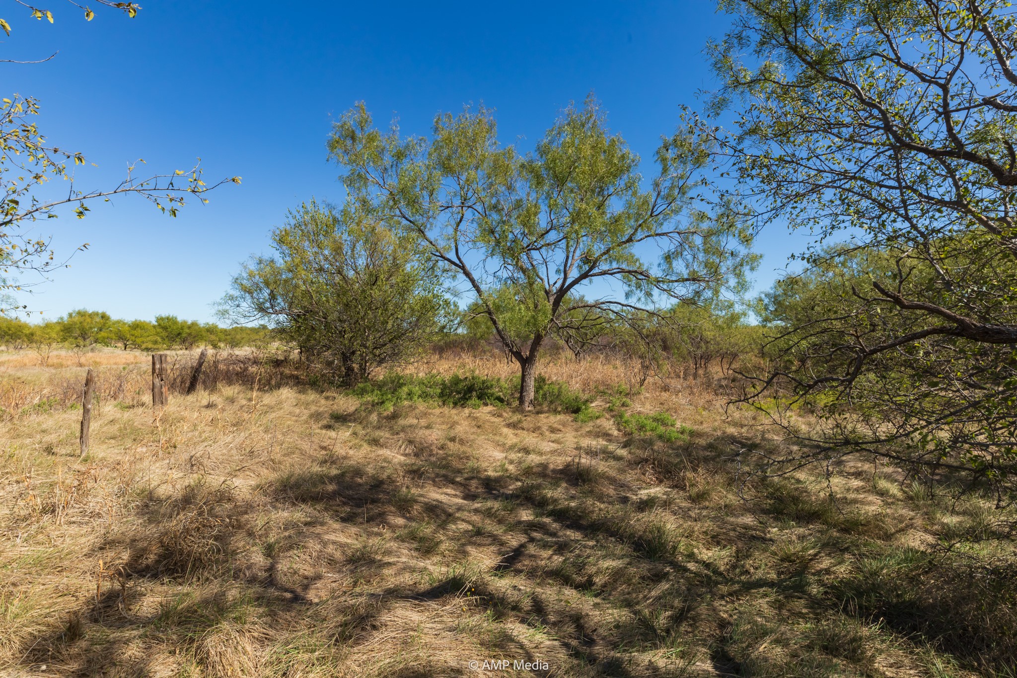 TBD US Hwy 83 N, Ovalo, TX, 79541