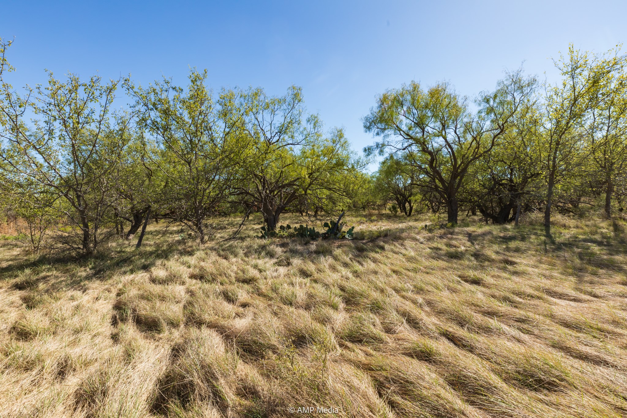 TBD US Hwy 83 N, Ovalo, TX, 79541