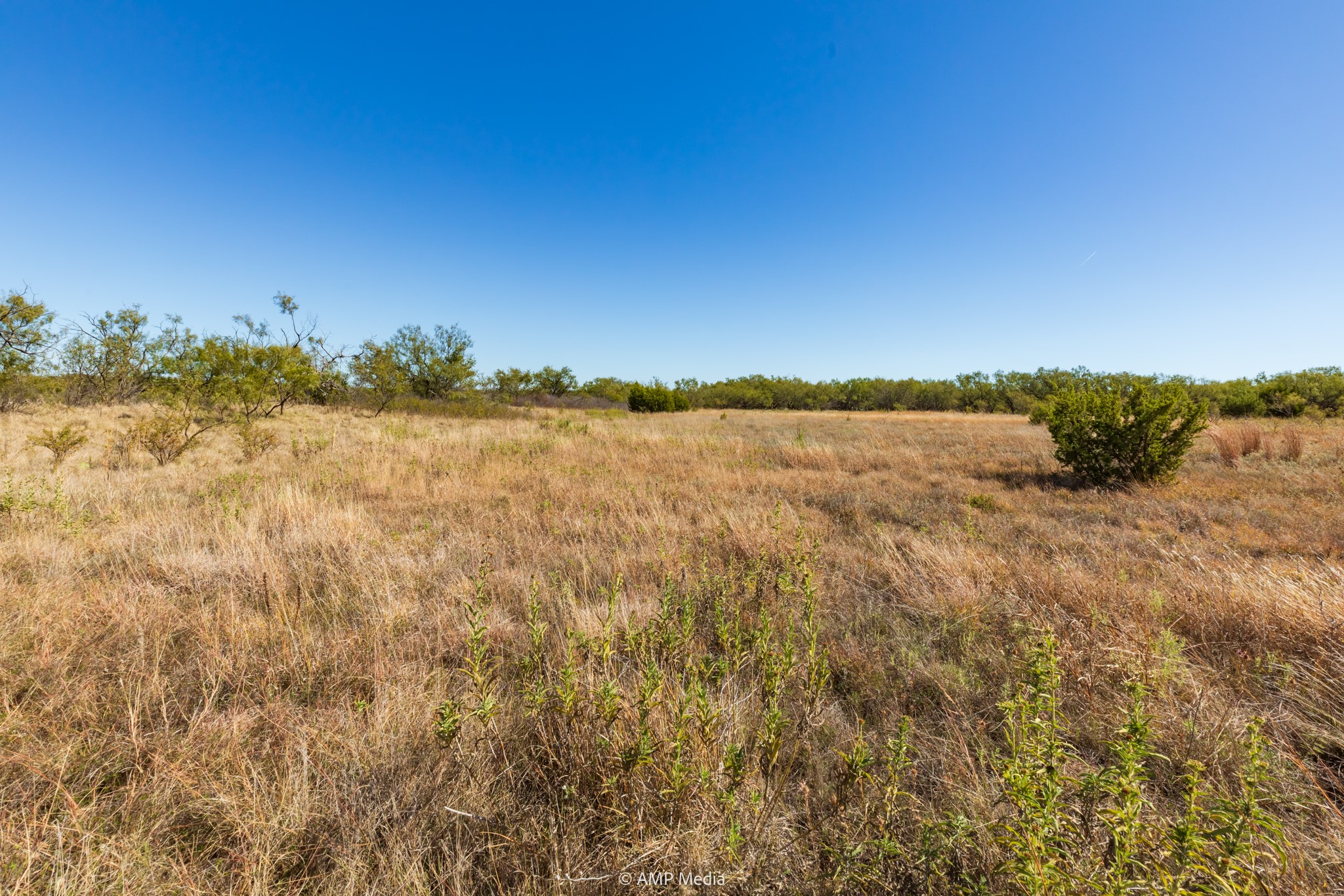 TBD US Hwy 83 N, Ovalo, TX, 79541