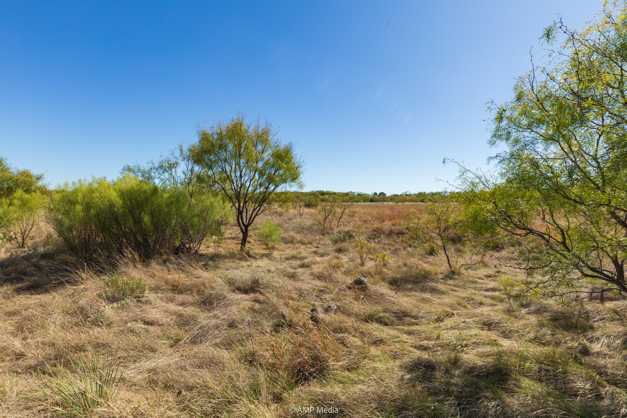 TBD US Hwy 83 N, Ovalo, TX, 79541