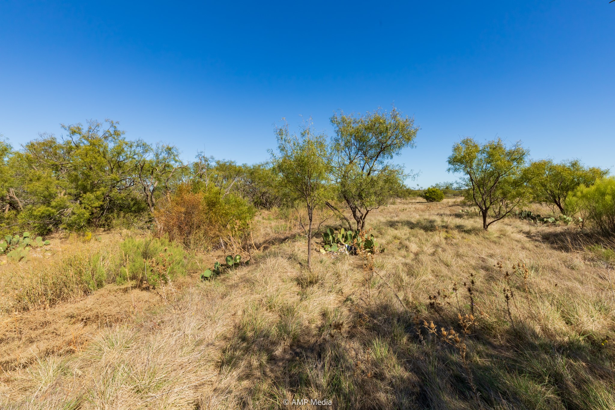 TBD US Hwy 83 N, Ovalo, TX, 79541