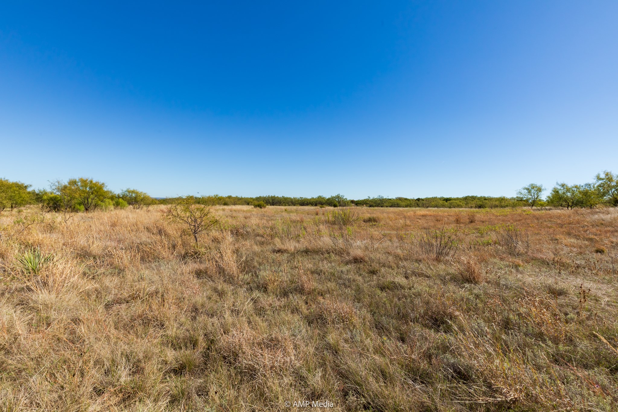 TBD US Hwy 83 N, Ovalo, TX, 79541