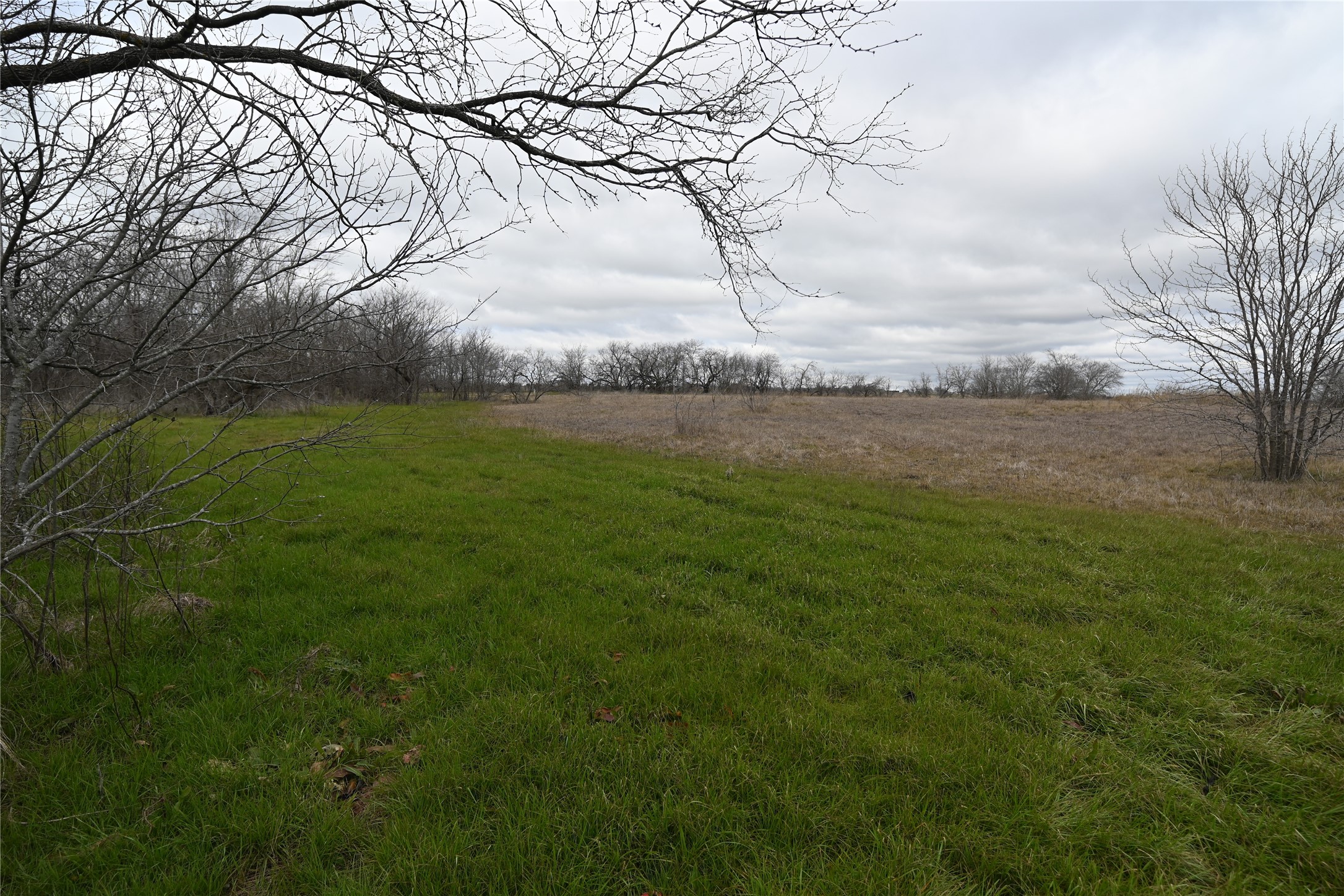 109 Hillridge Lane, Maypearl, TX, 76064
