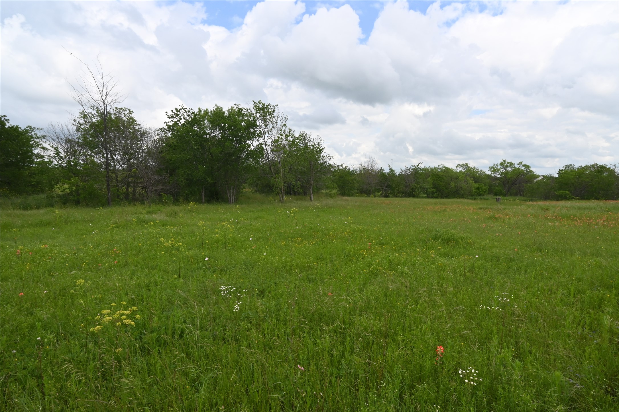 109 Hillridge Lane, Maypearl, TX, 76064
