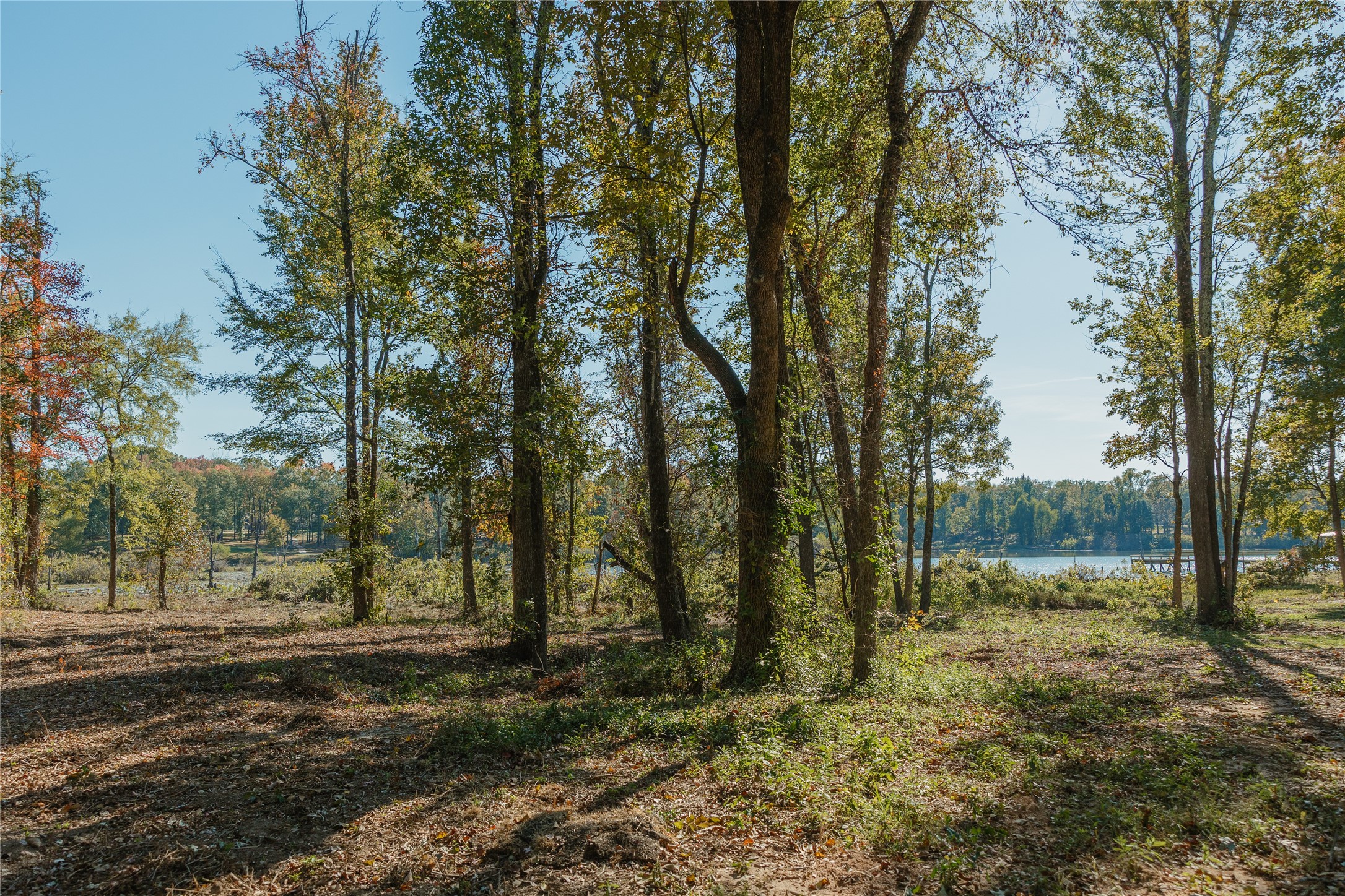 Property photo 02 of Lot 16 Private Road 5948, Yantis, TX 75497 | MLS #21114734
