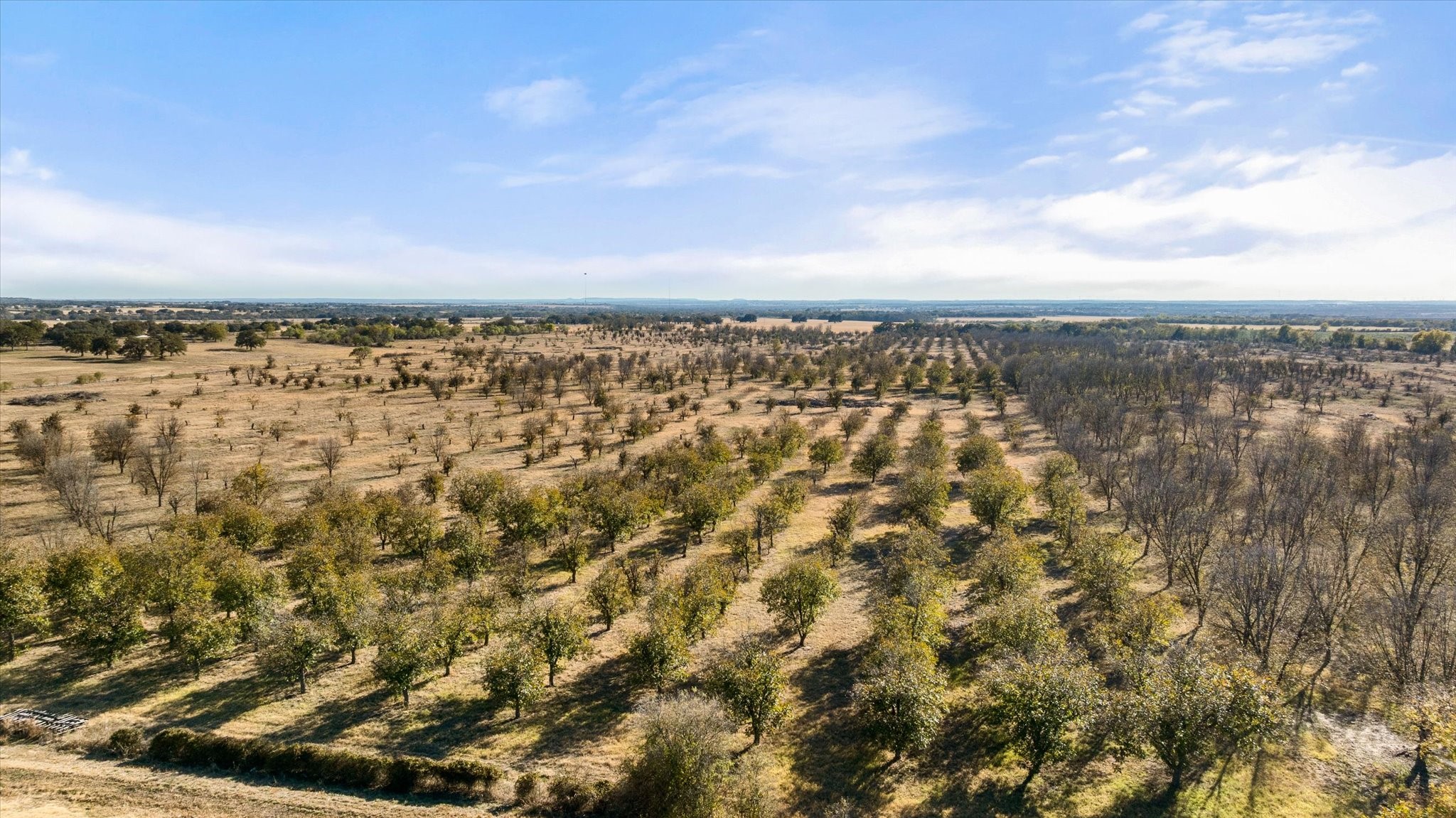 TBD Fm 1476, Dublin, TX, 76446