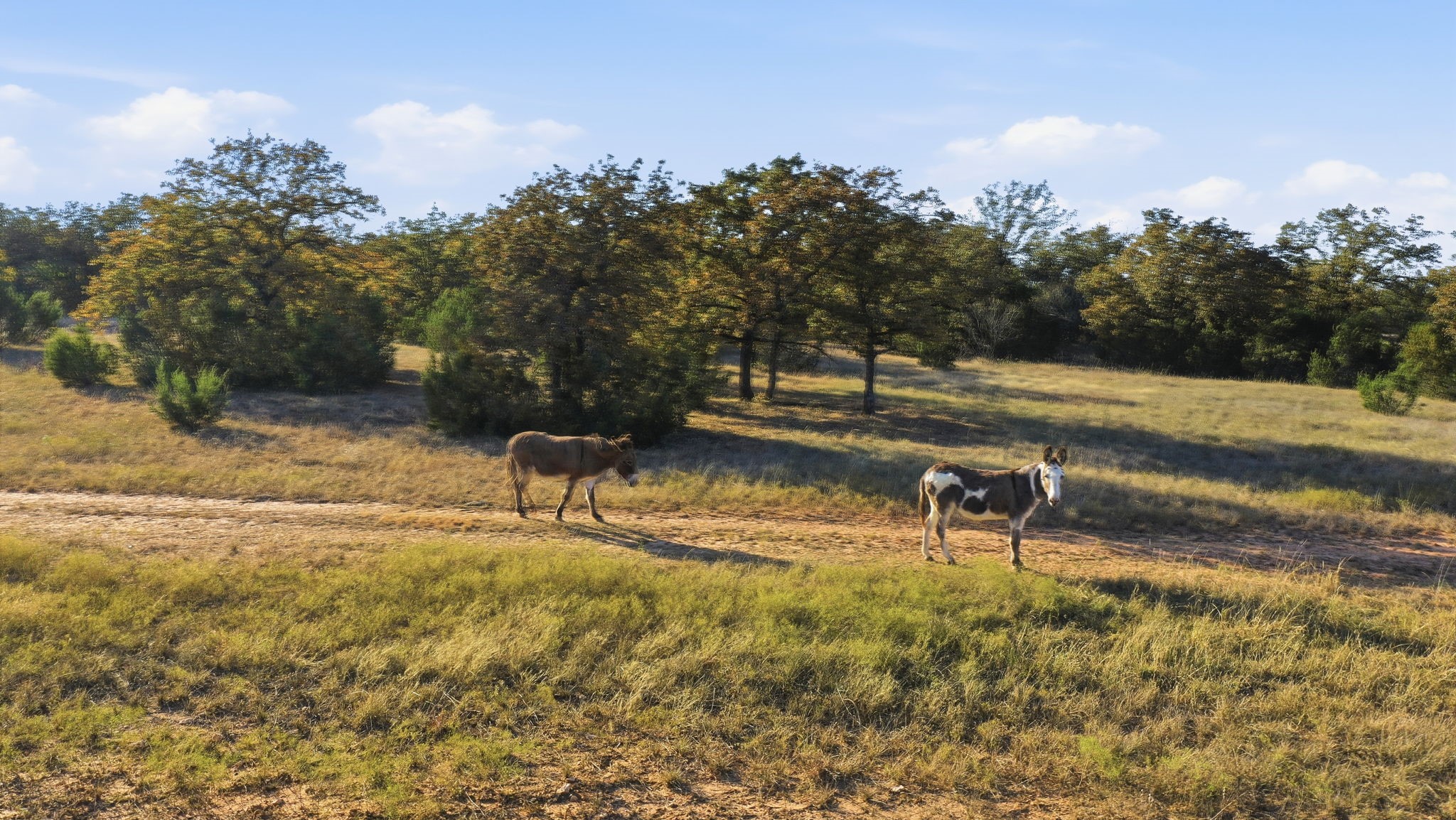 11051 Brock Highway, Lipan, TX, 76462