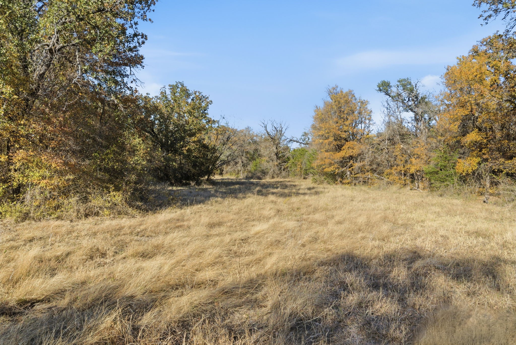 11051 Brock Highway, Lipan, TX, 76462