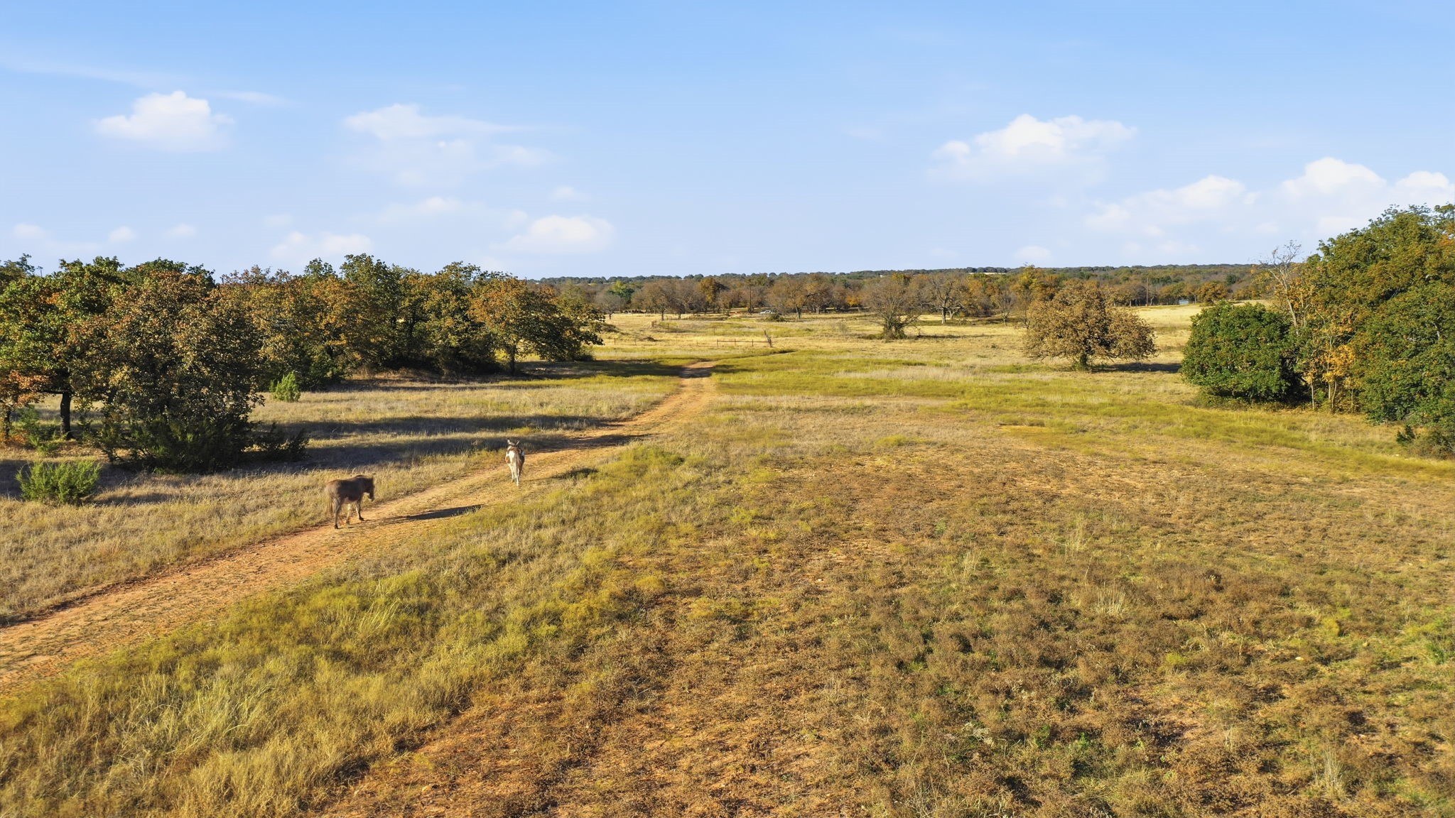 11051 Brock Highway, Lipan, TX, 76462