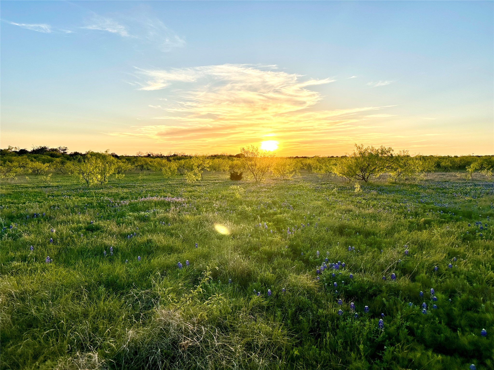 1868 W Hwy 84, Mullin, TX, 76864