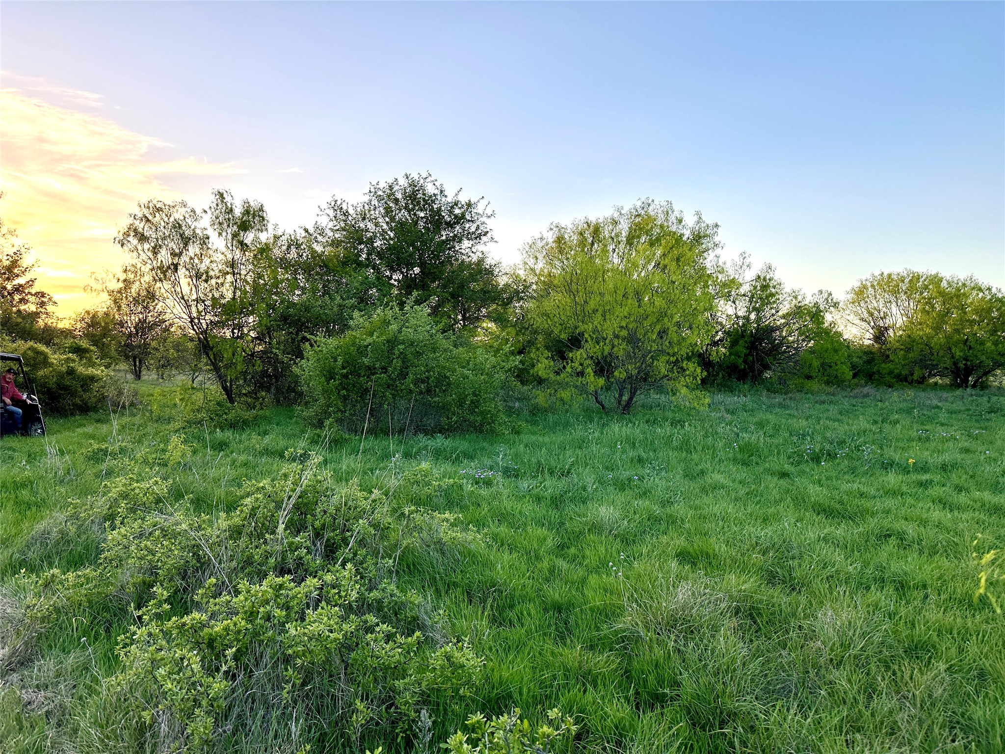 1868 W Hwy 84, Mullin, TX, 76864