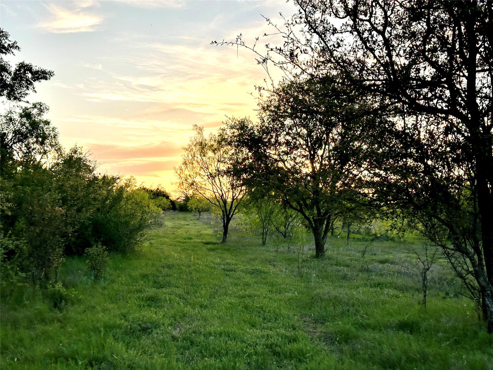 1868 W Hwy 84, Mullin, TX, 76864