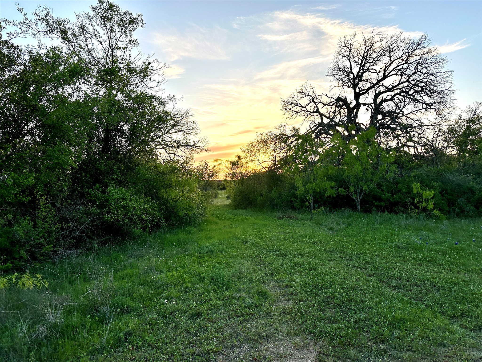 1868 W Hwy 84, Mullin, TX, 76864
