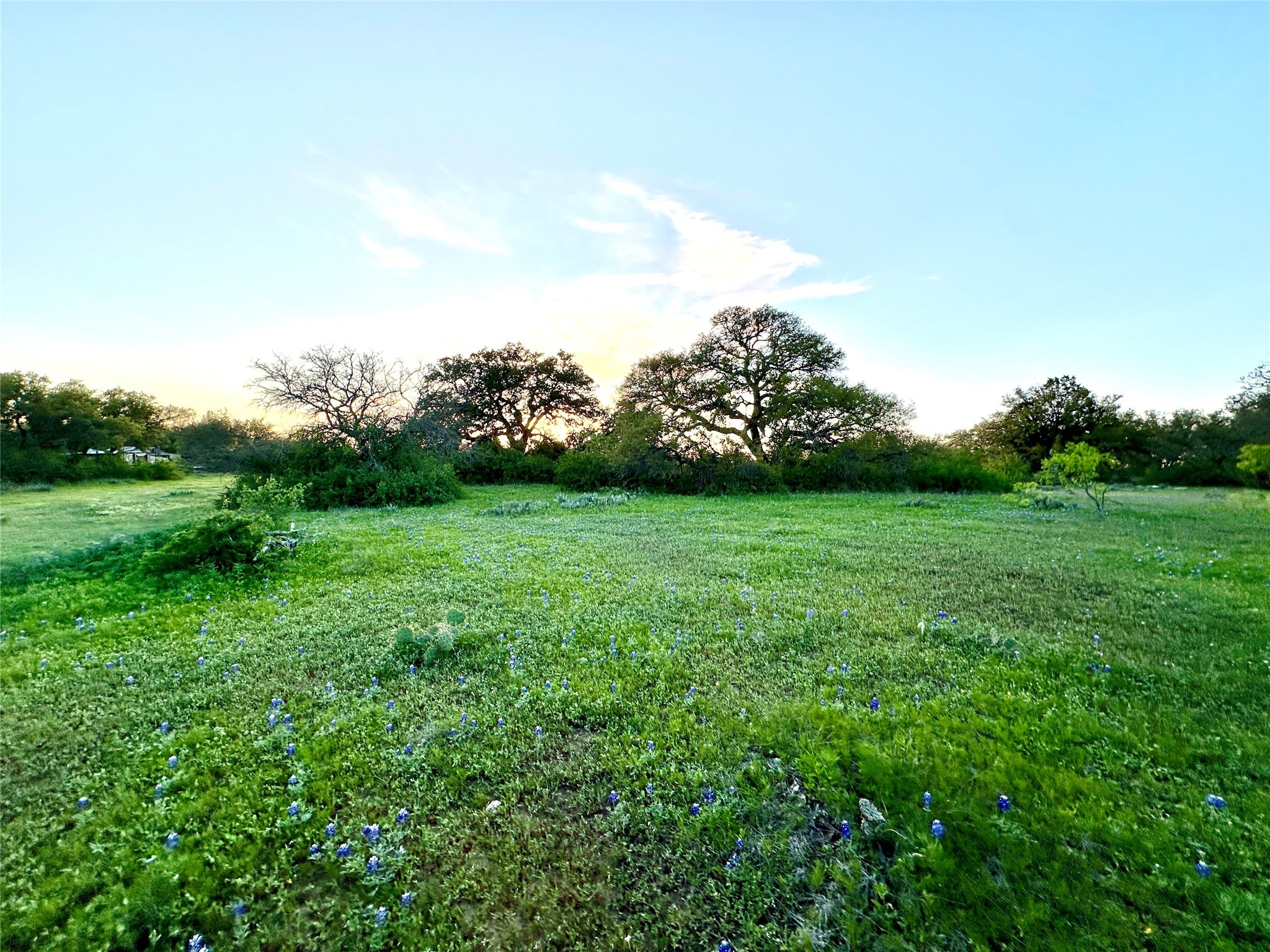 1868 W Hwy 84, Mullin, TX, 76864