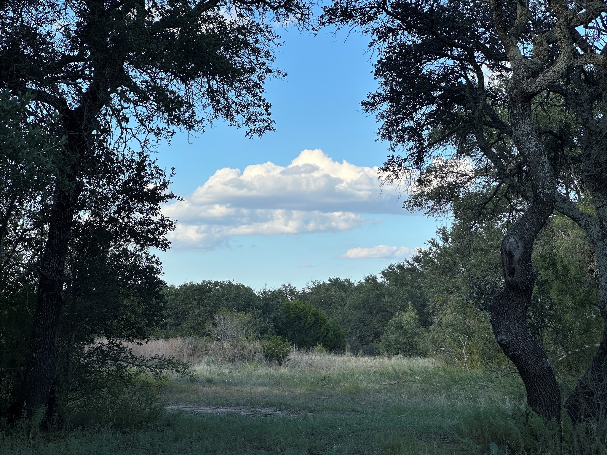 1868 W Hwy 84, Mullin, TX, 76864