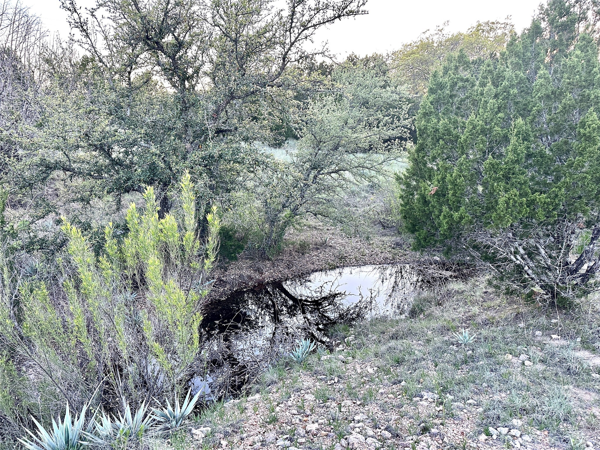 1868 W Hwy 84, Mullin, TX, 76864