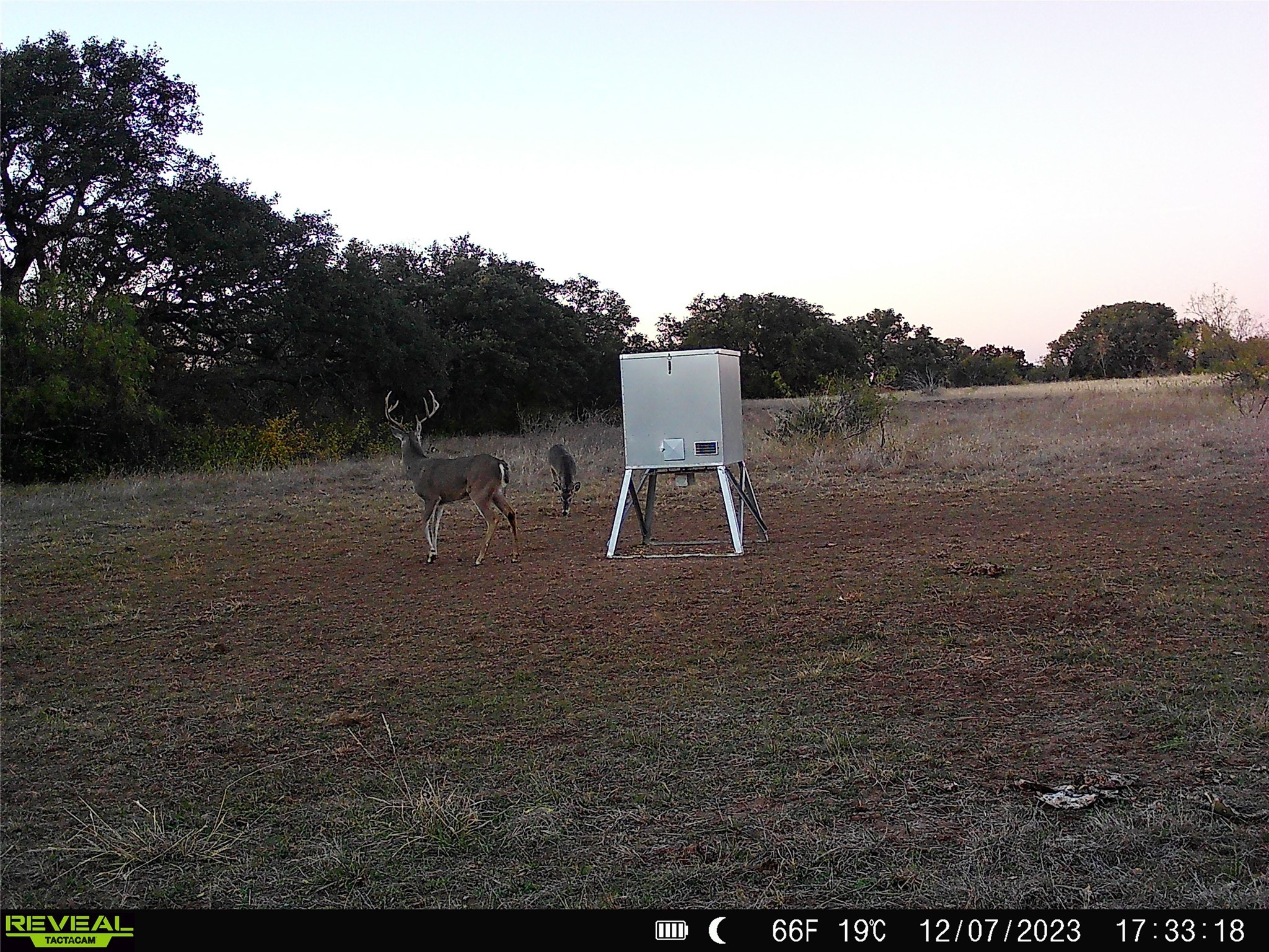 1868 W Hwy 84, Mullin, TX, 76864