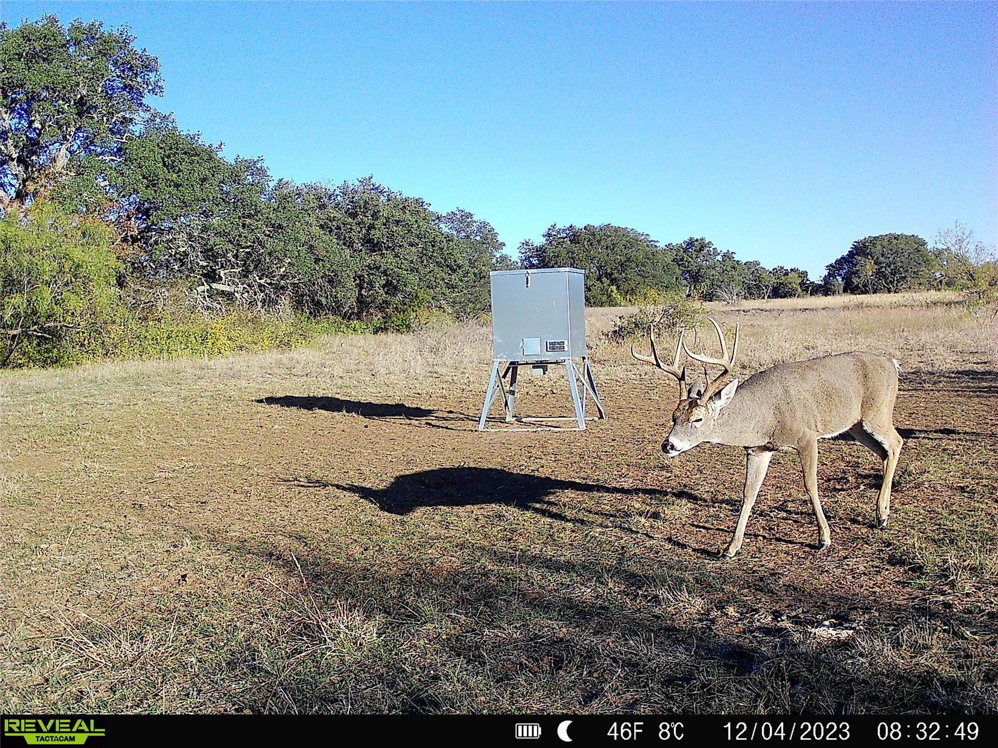 1868 W Hwy 84, Mullin, TX, 76864
