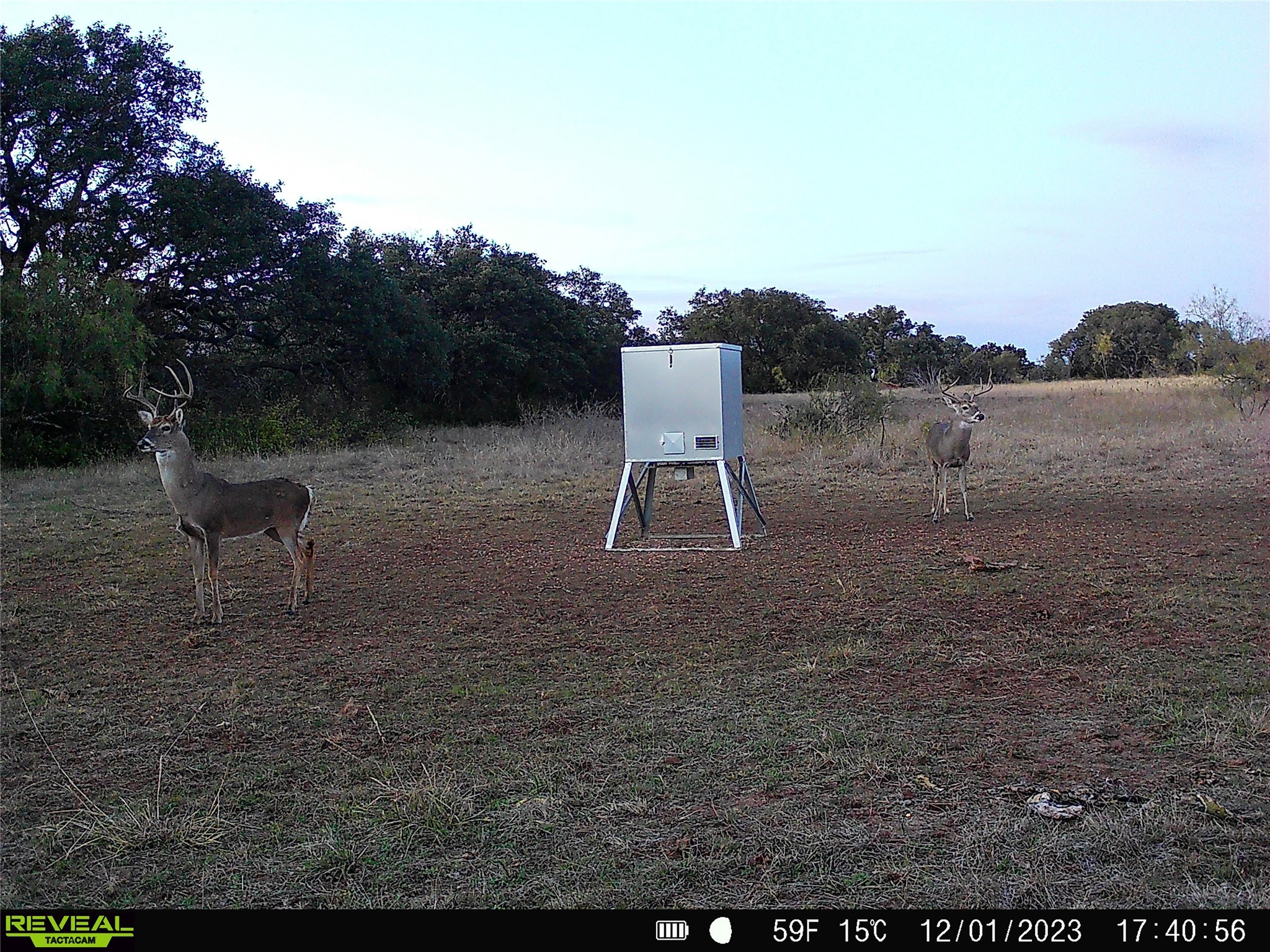 1868 W Hwy 84, Mullin, TX, 76864