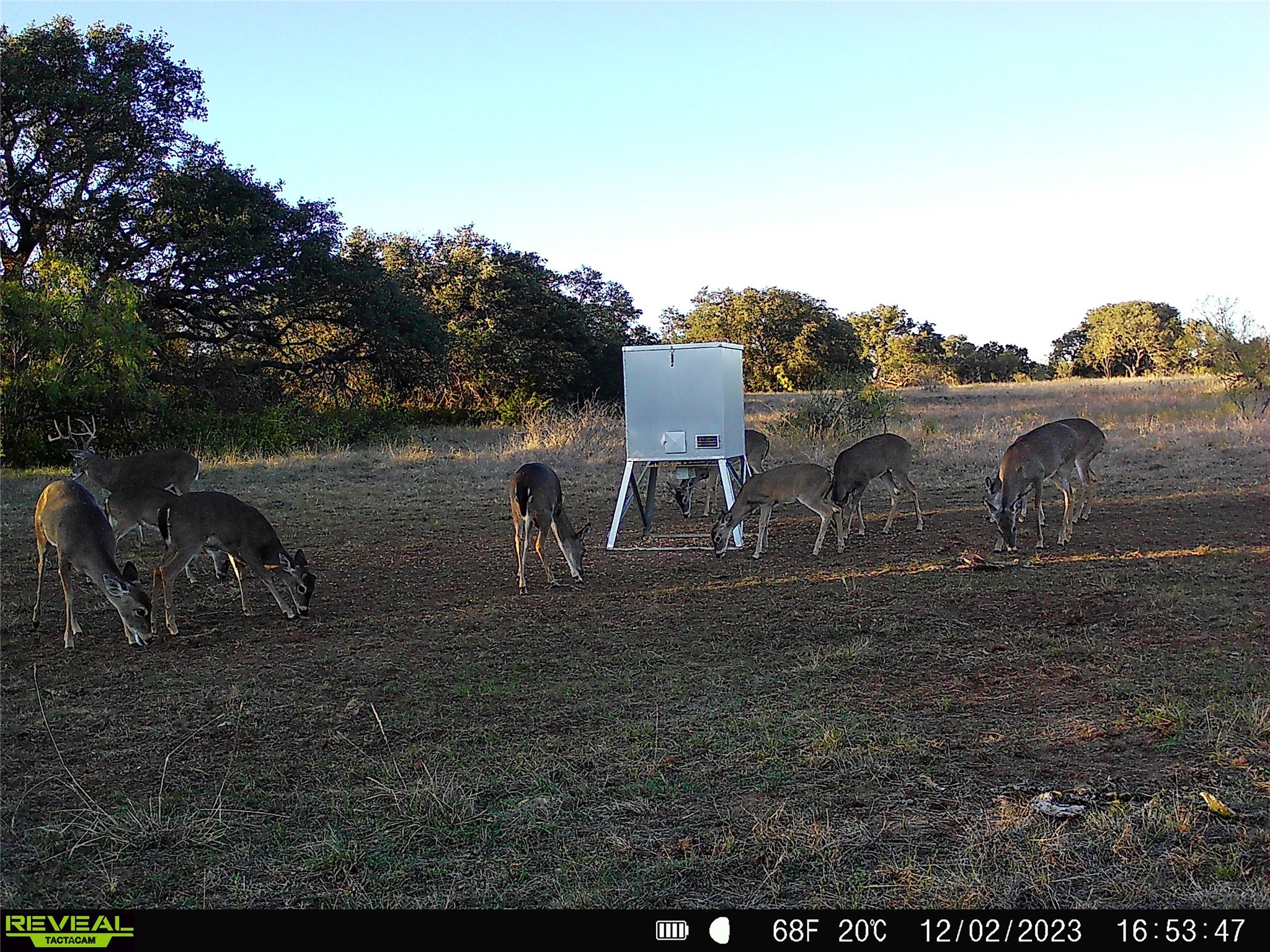 1868 W Hwy 84, Mullin, TX, 76864