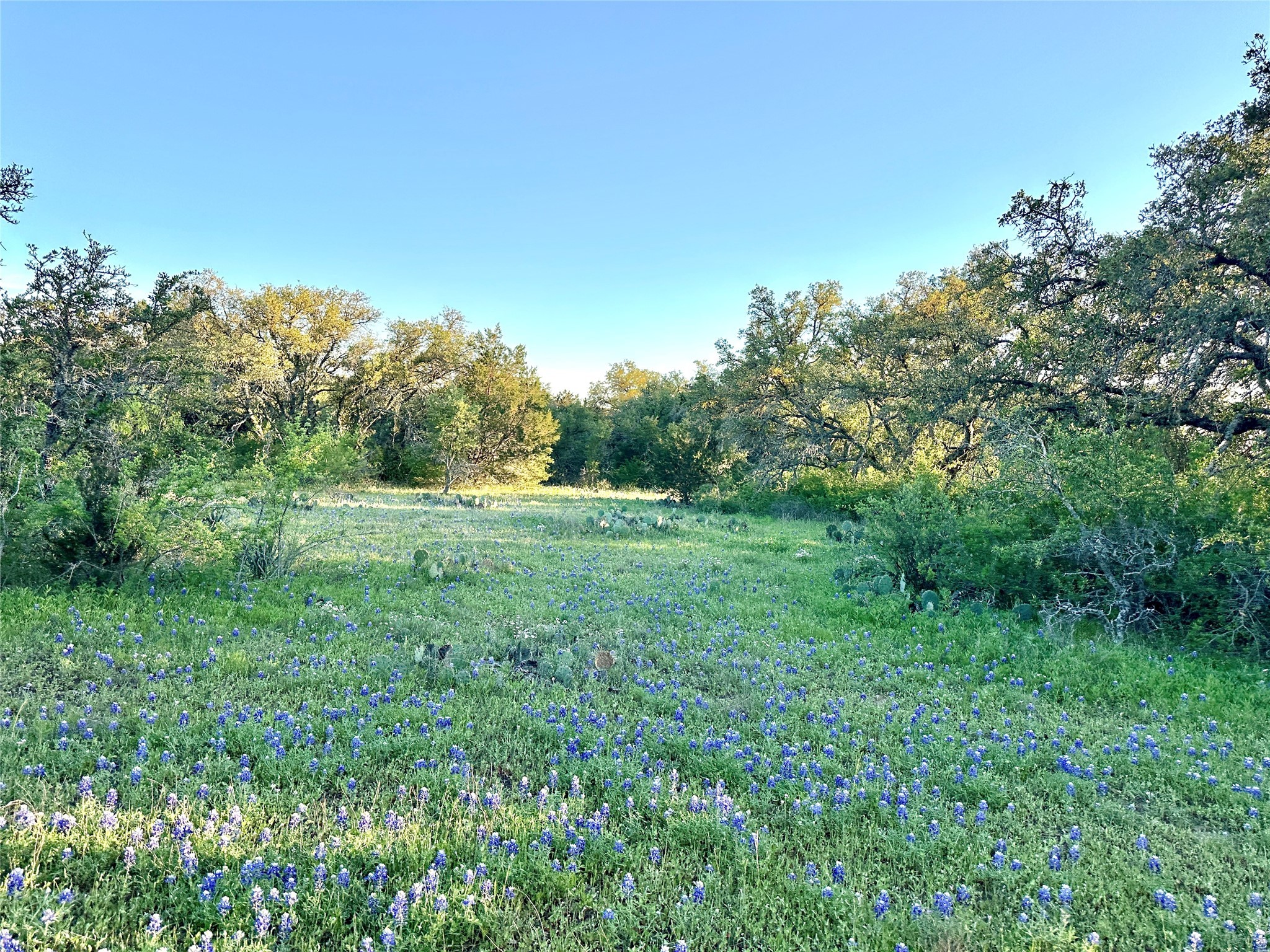 1868 W Hwy 84, Mullin, TX, 76864