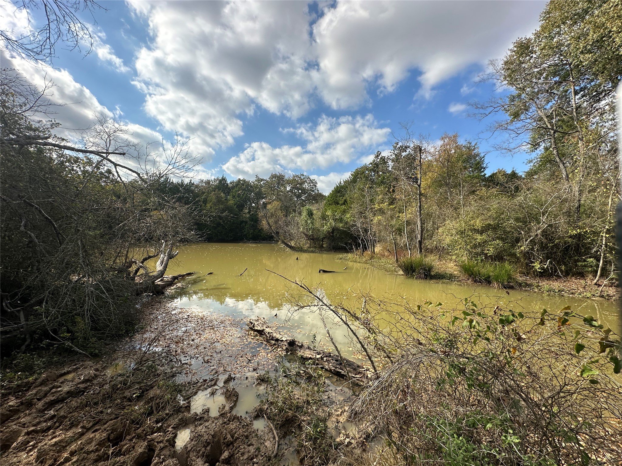 TBD LCR 758, Thornton, TX, 76687