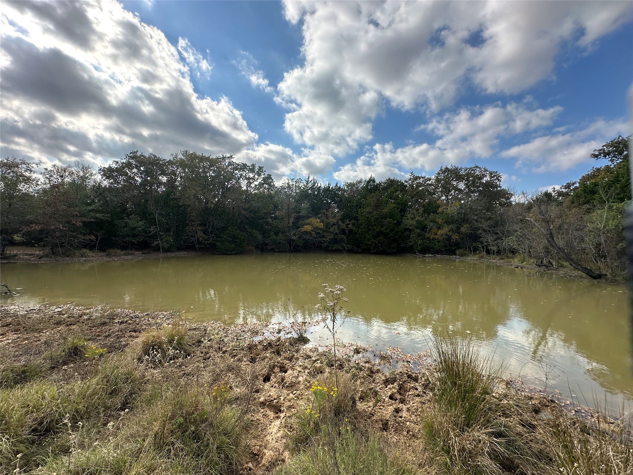 TBD LCR 758, Thornton, TX, 76687