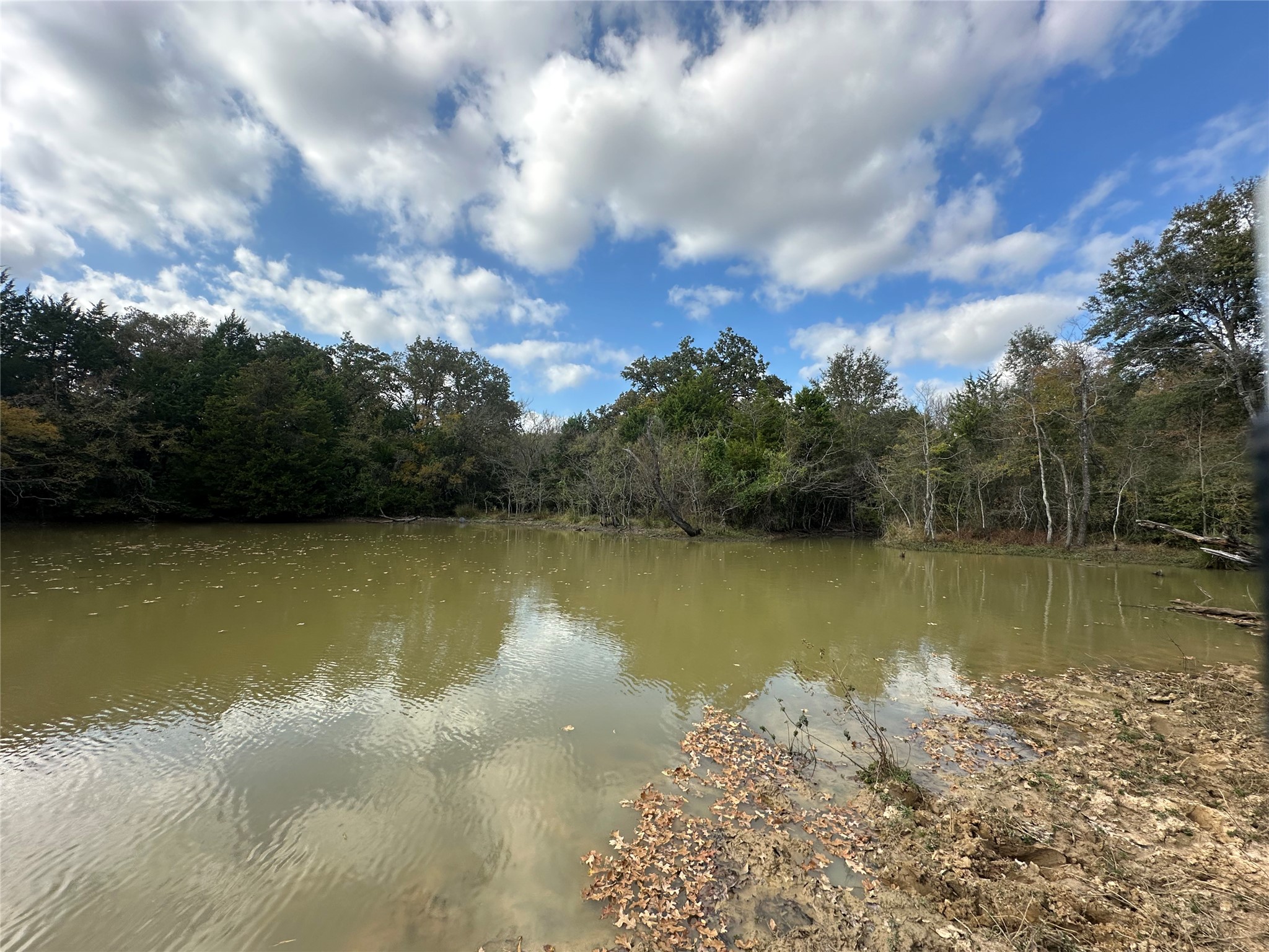 TBD LCR 758, Thornton, TX, 76687