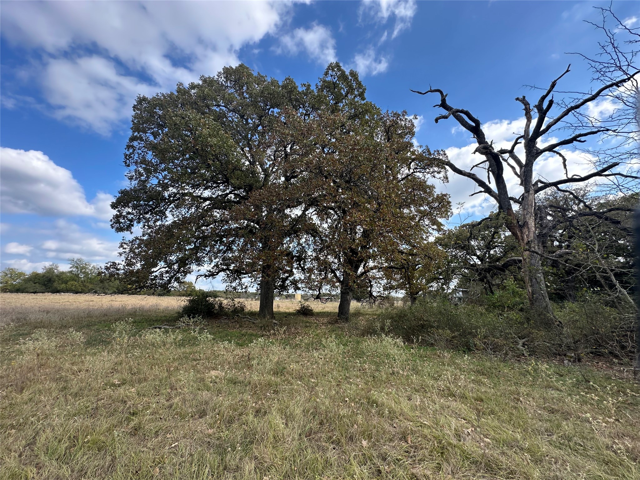 TBD LCR 758, Thornton, TX, 76687