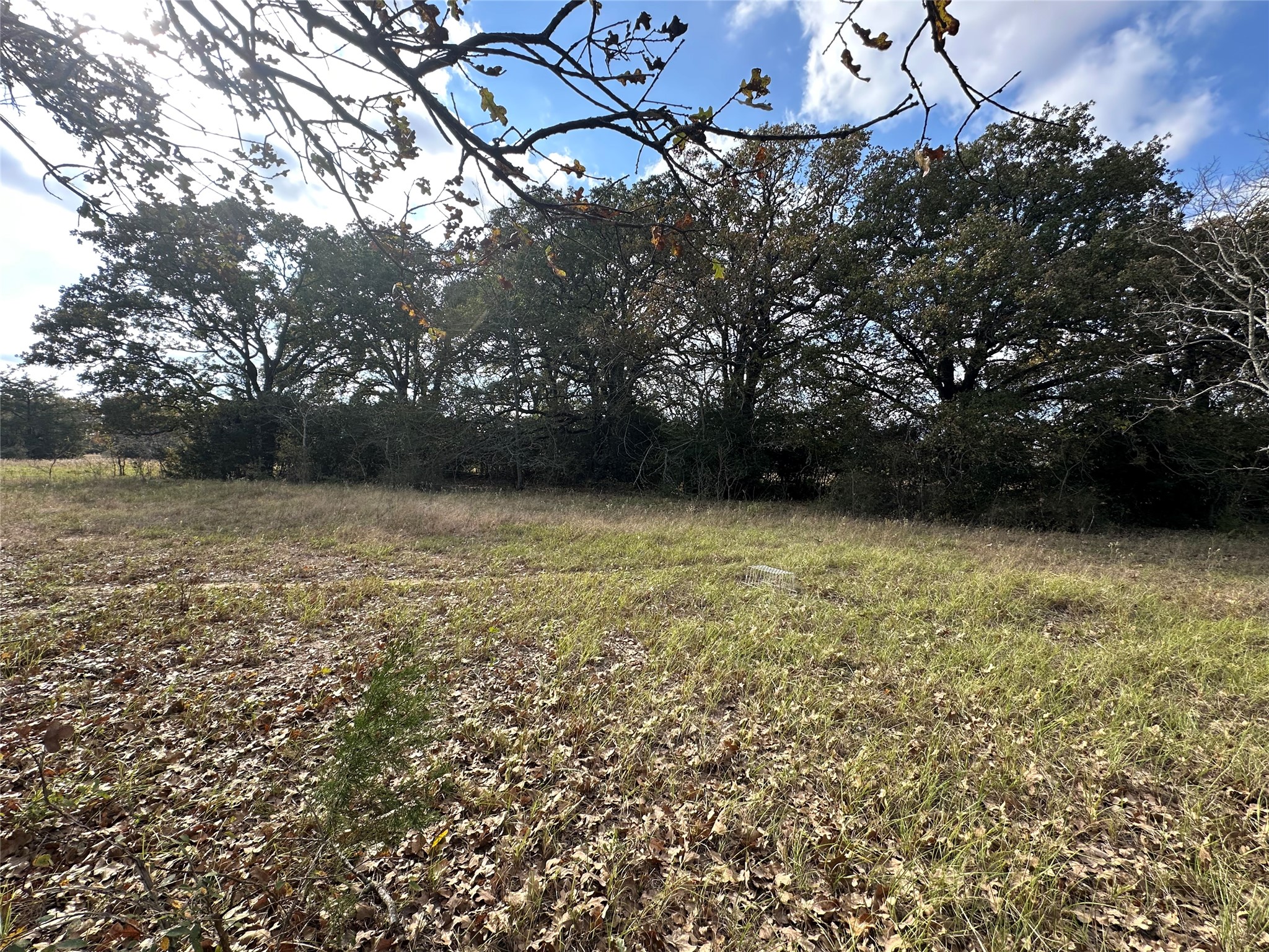 TBD LCR 758, Thornton, TX, 76687